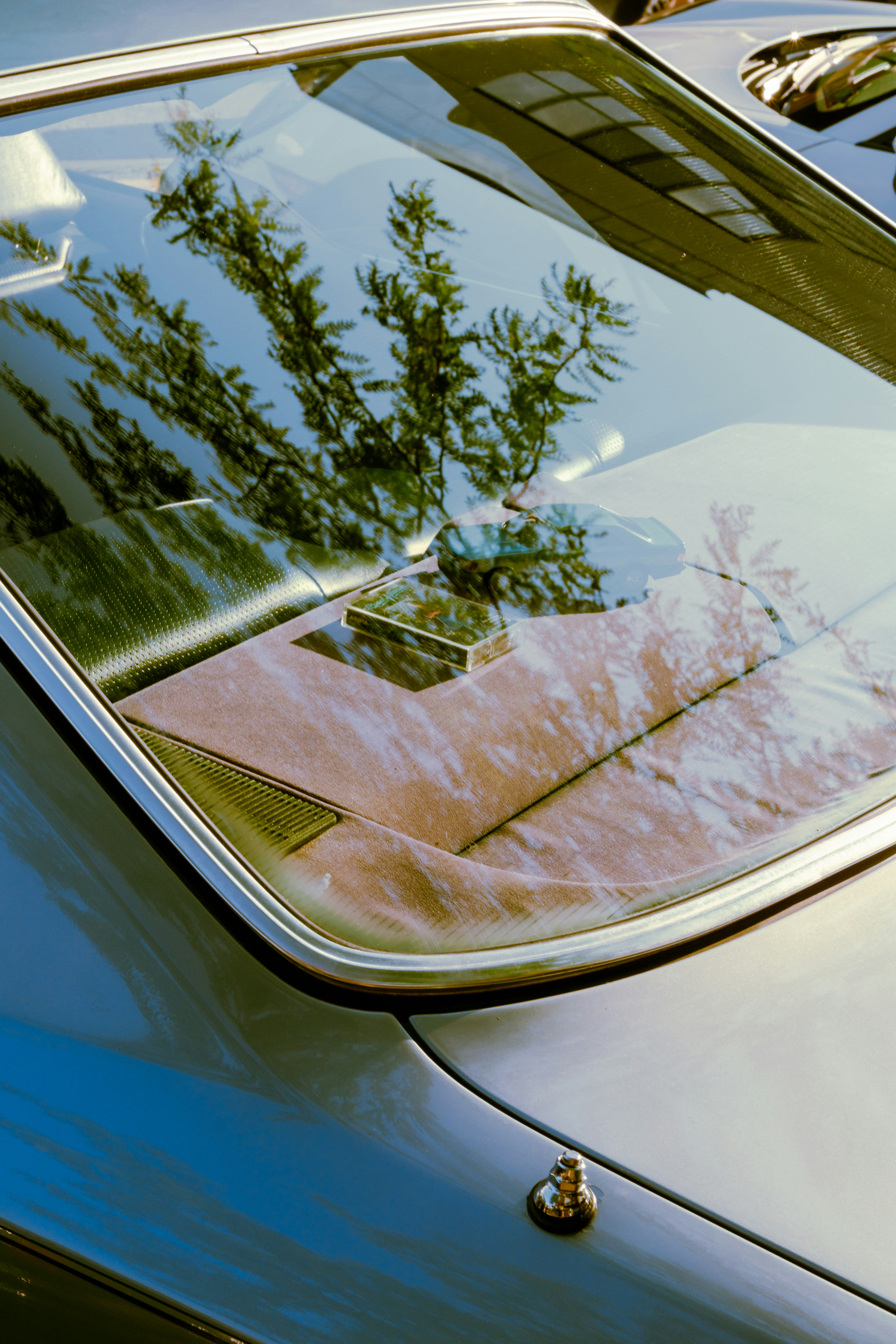 Photo by zhenyao_photo