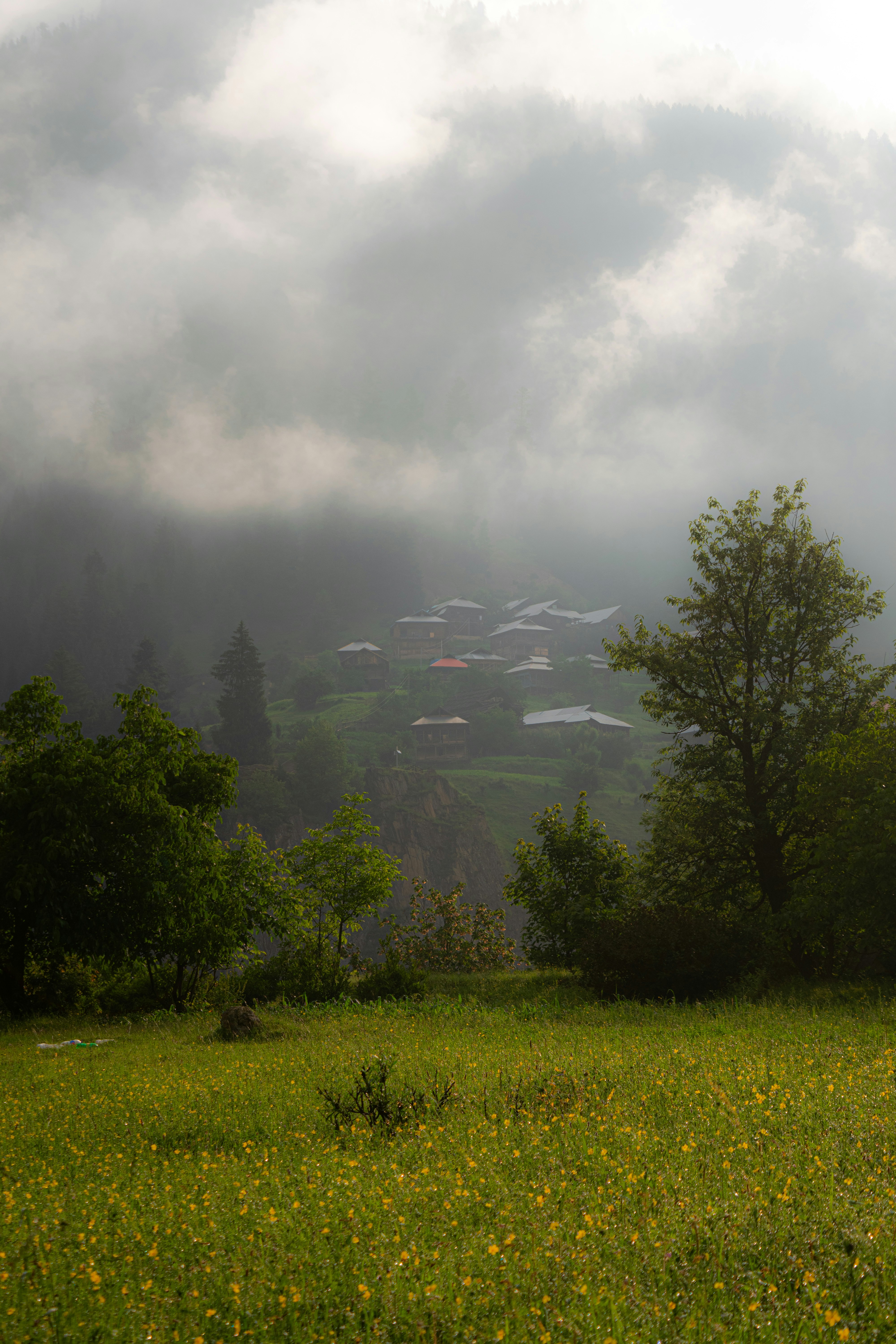 Photo by hassanfaisal