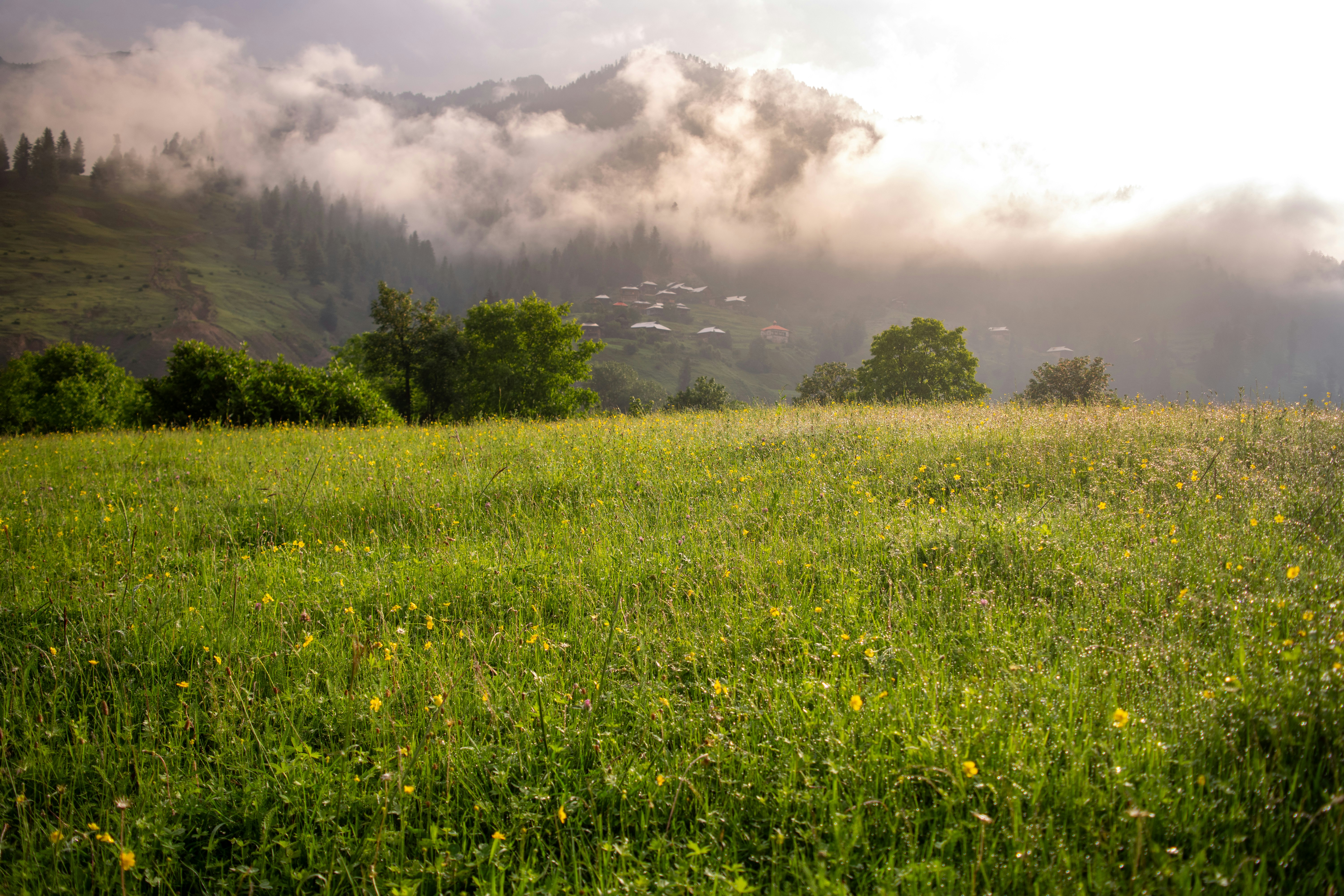 Photo by hassanfaisal