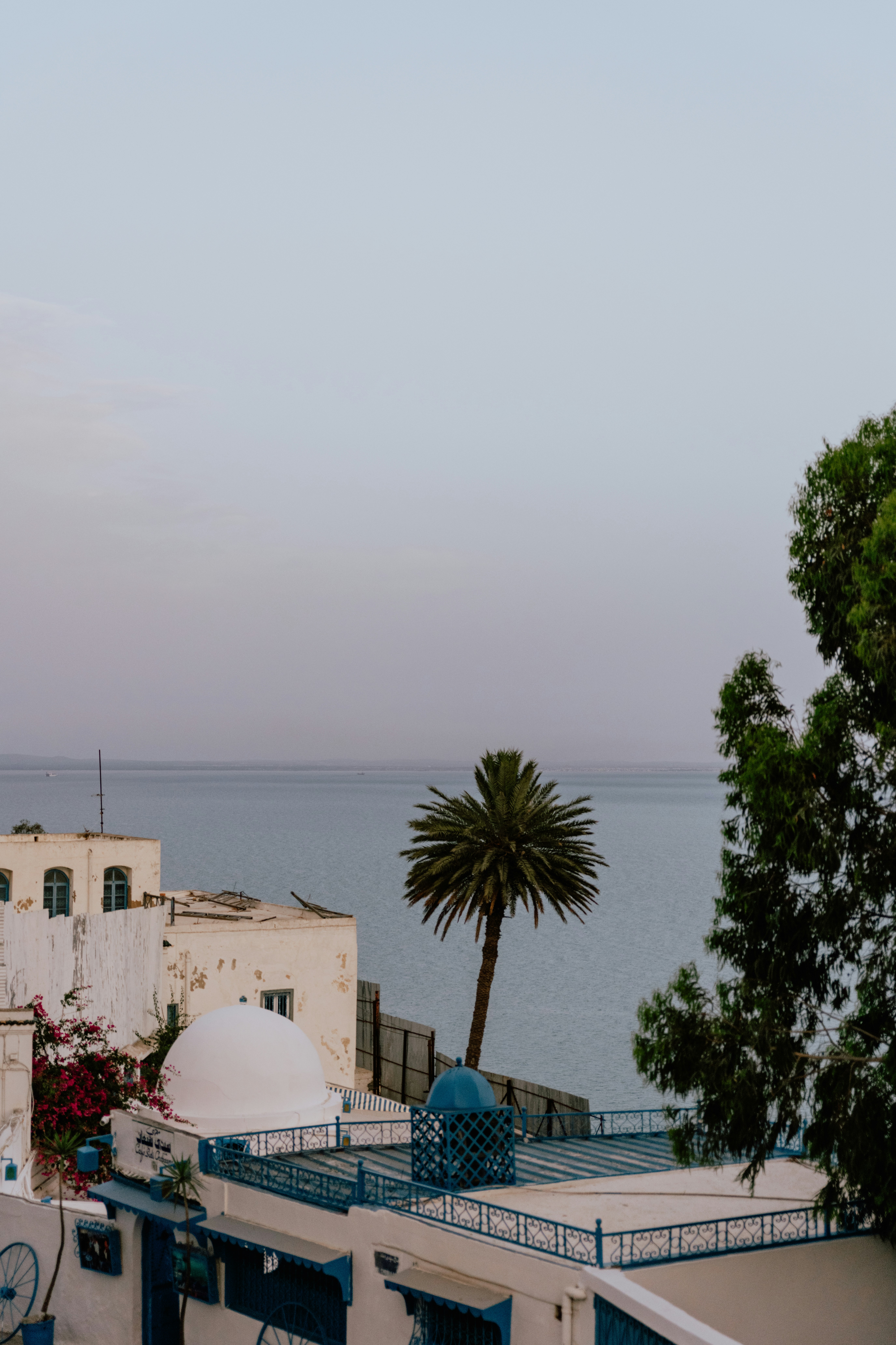 Photo by jamillatrach
