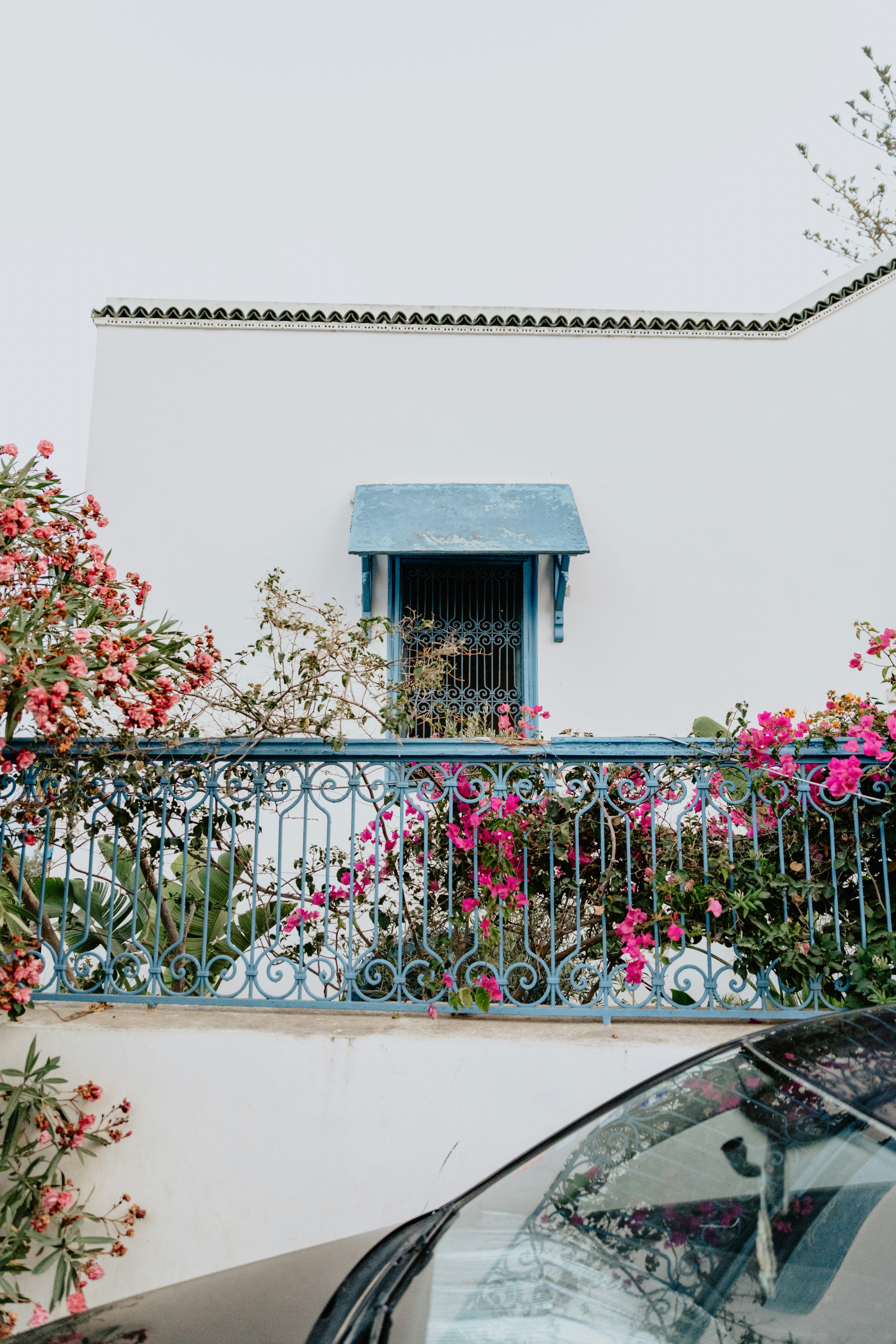 Photo by jamillatrach