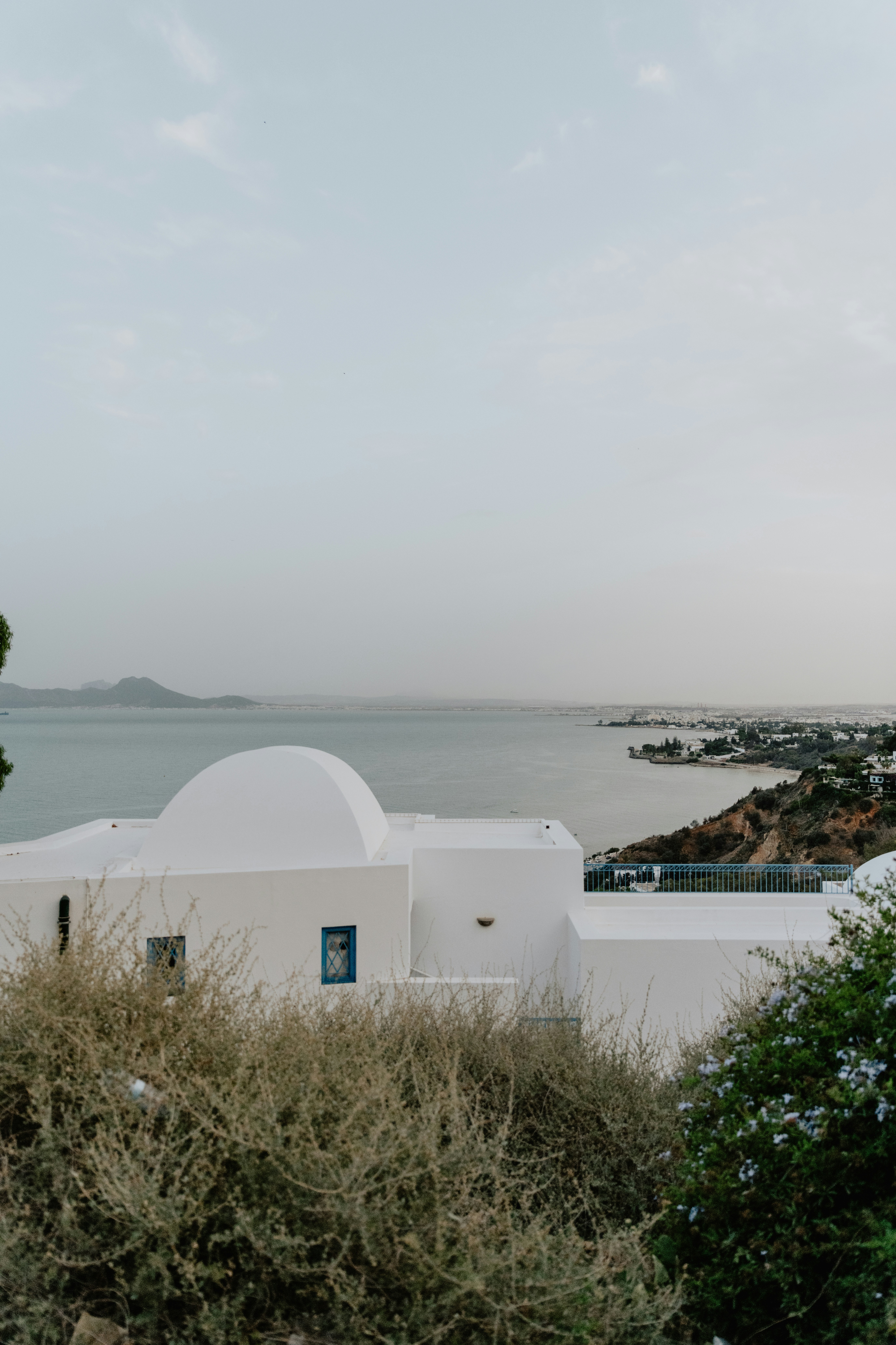 Photo by jamillatrach