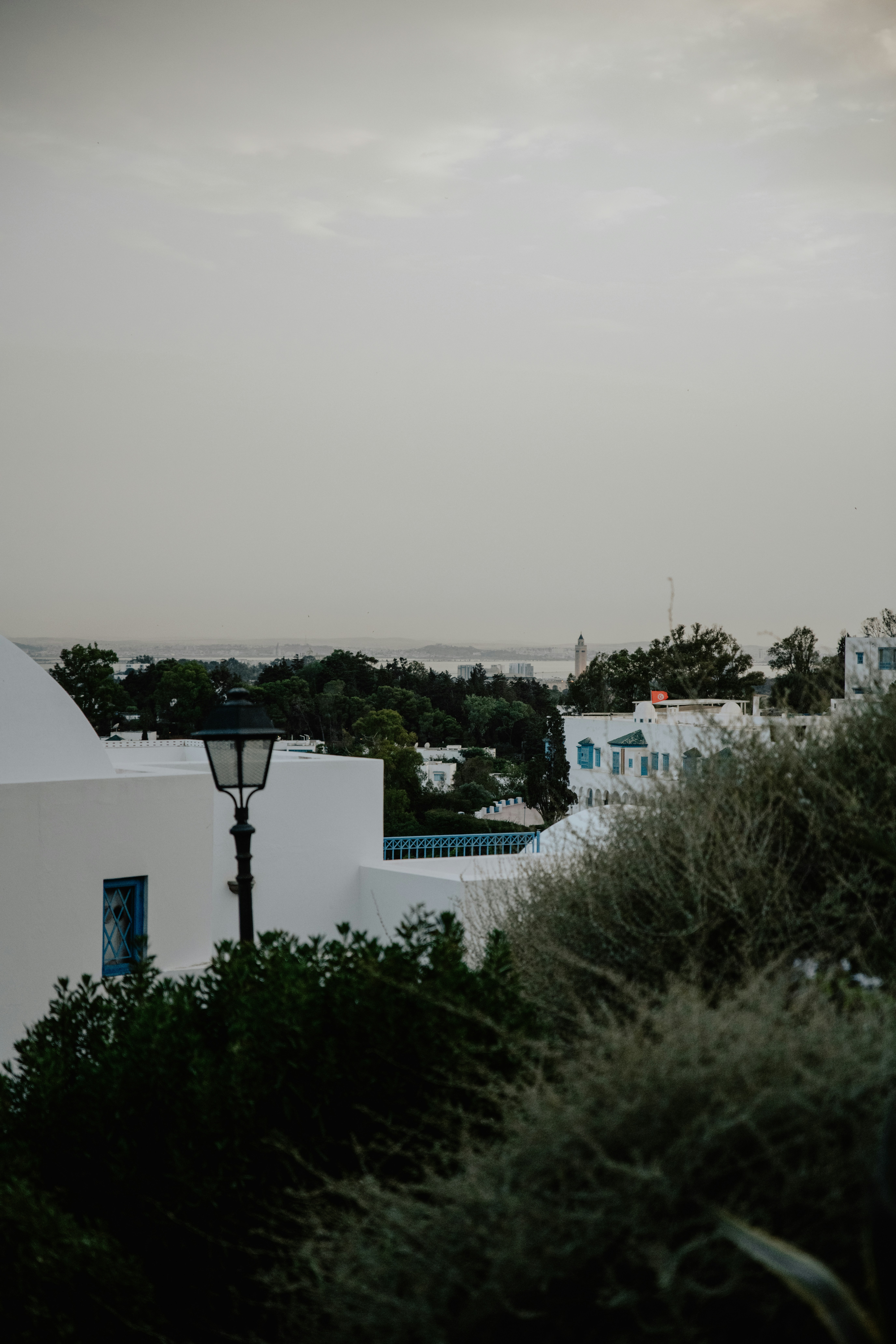 Photo by jamillatrach