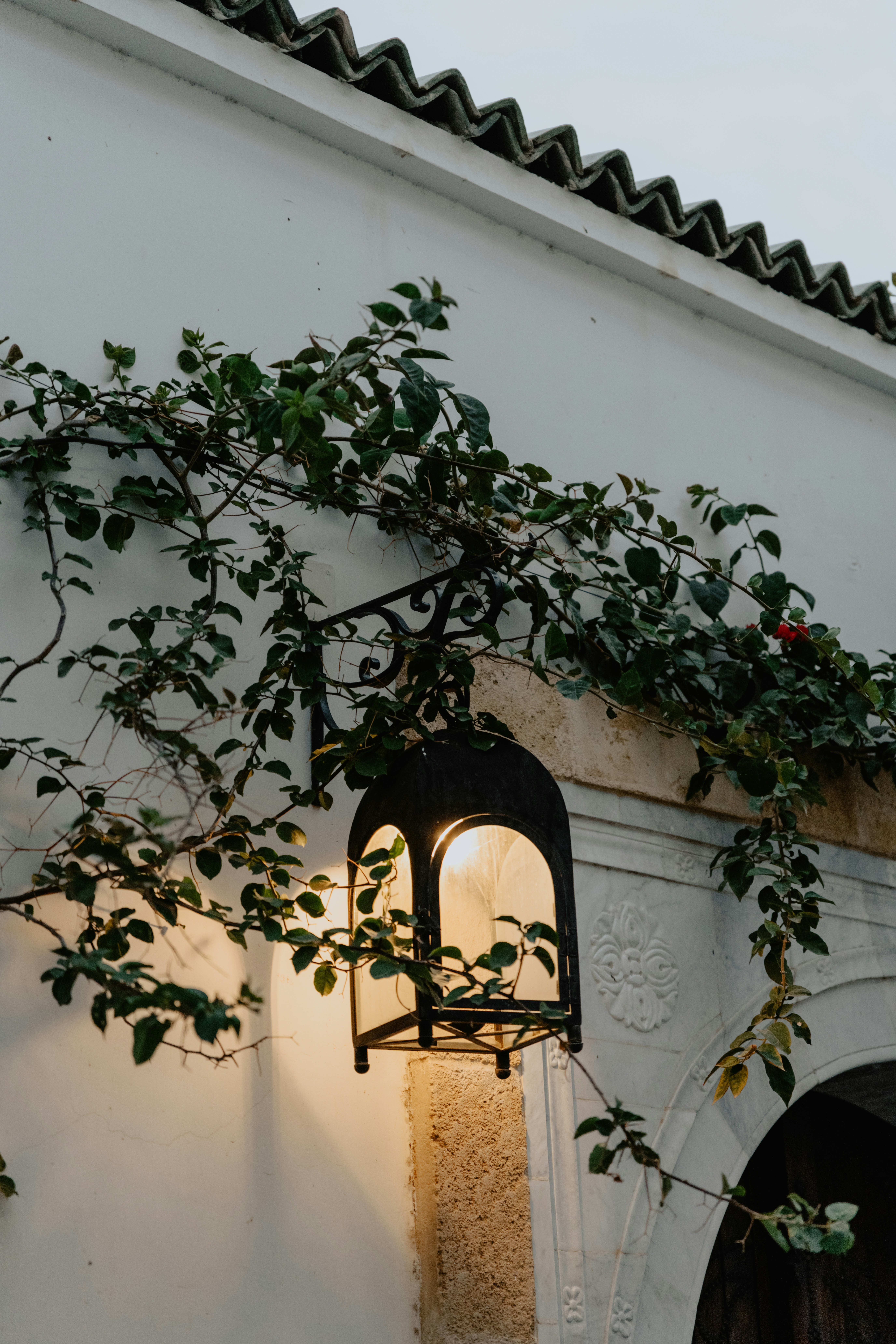 Photo by jamillatrach