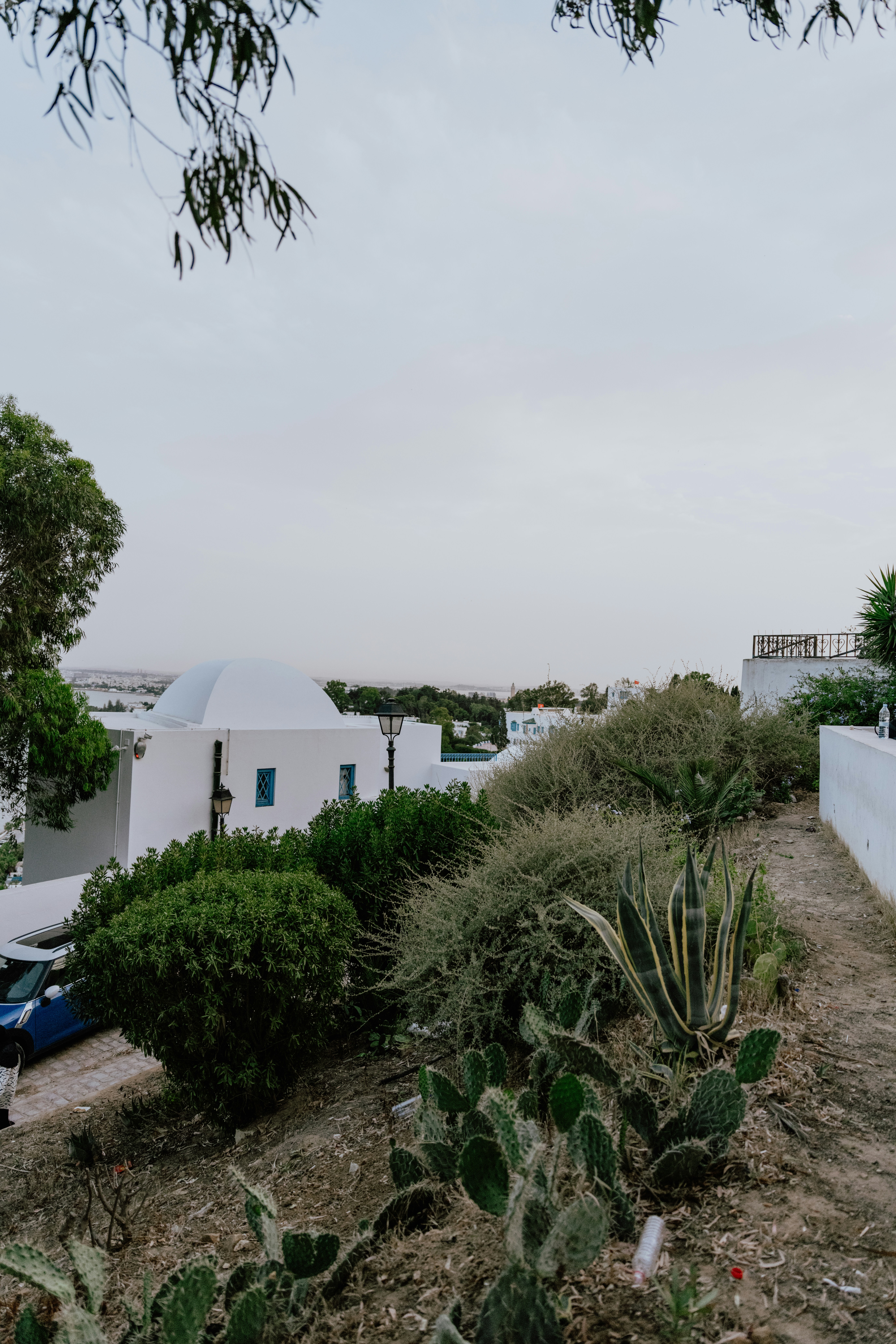 Photo by jamillatrach