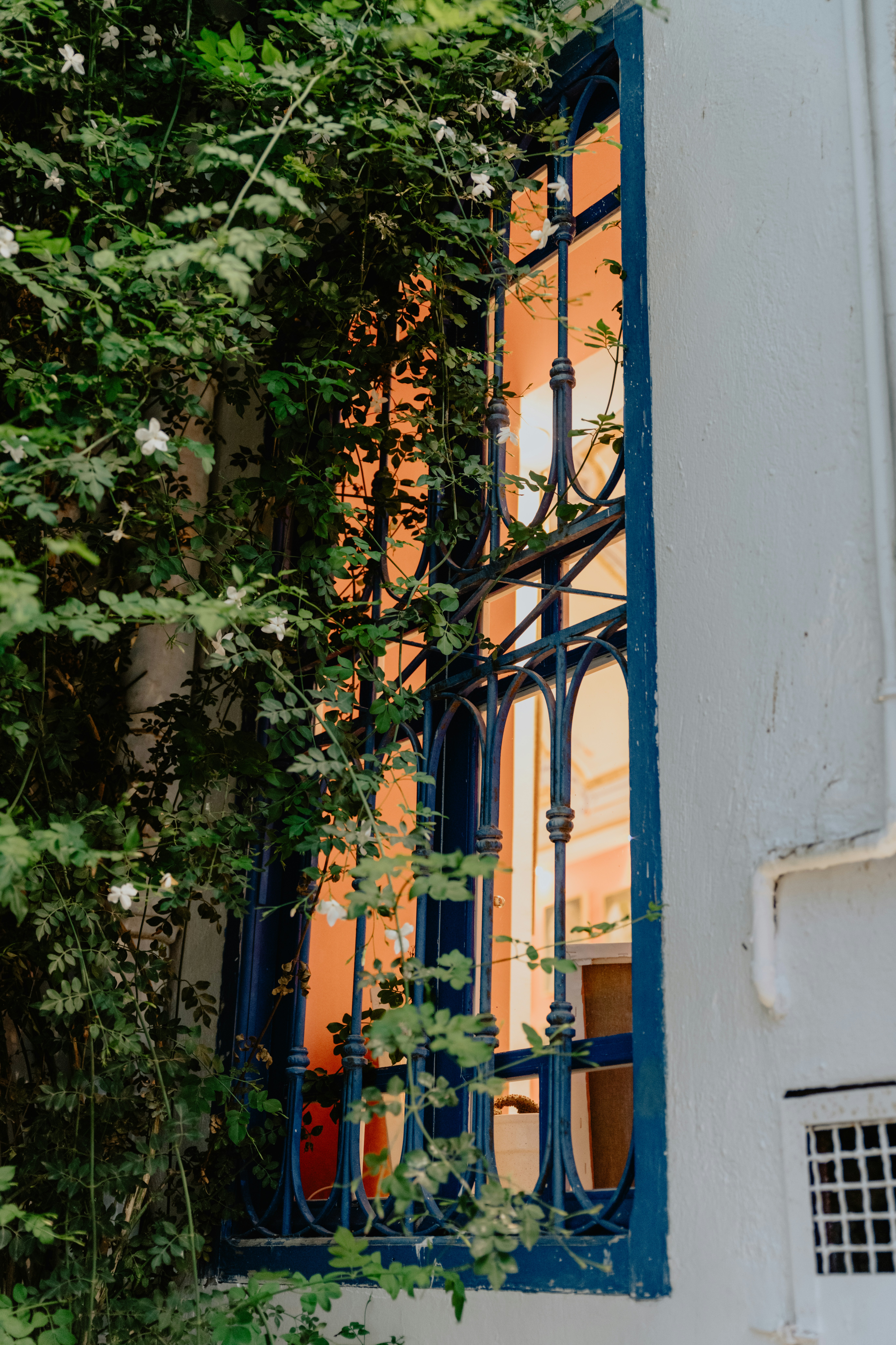 Photo by jamillatrach