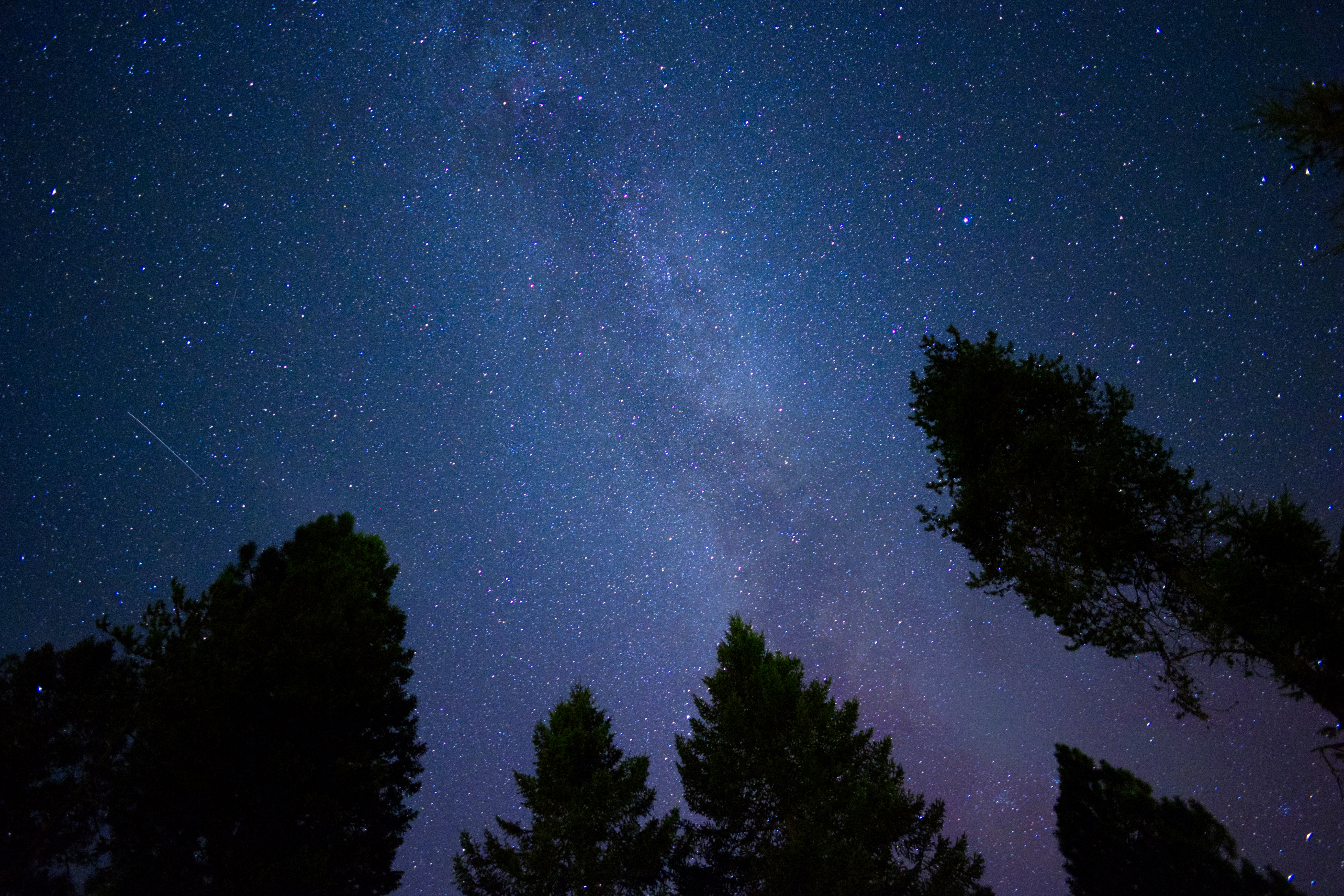 The night sky is filled with stars and trees