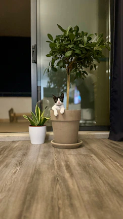 A cat sitting in a potted plant on a table
