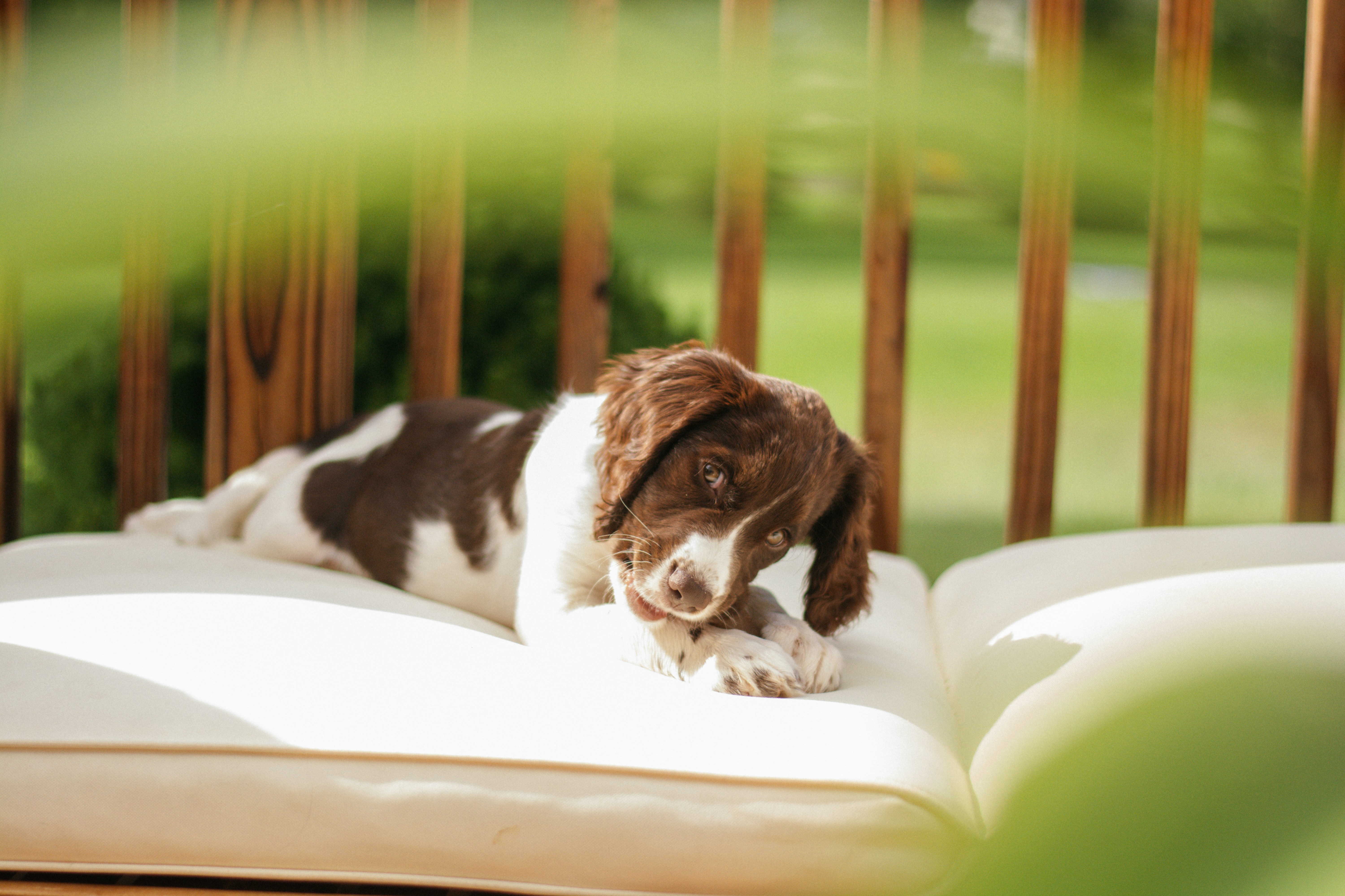 Photo by meaghcafferty