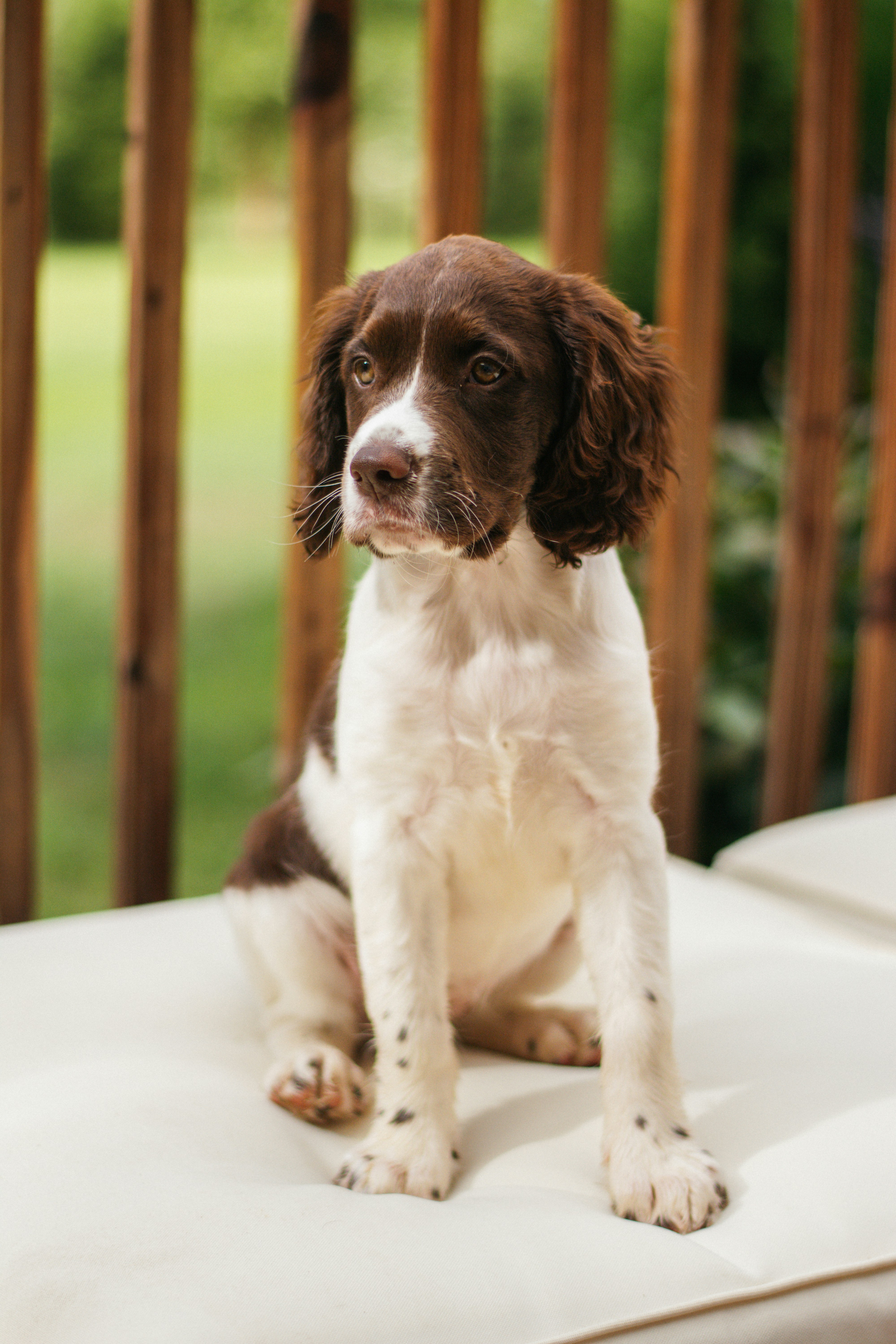 Photo by meaghcafferty