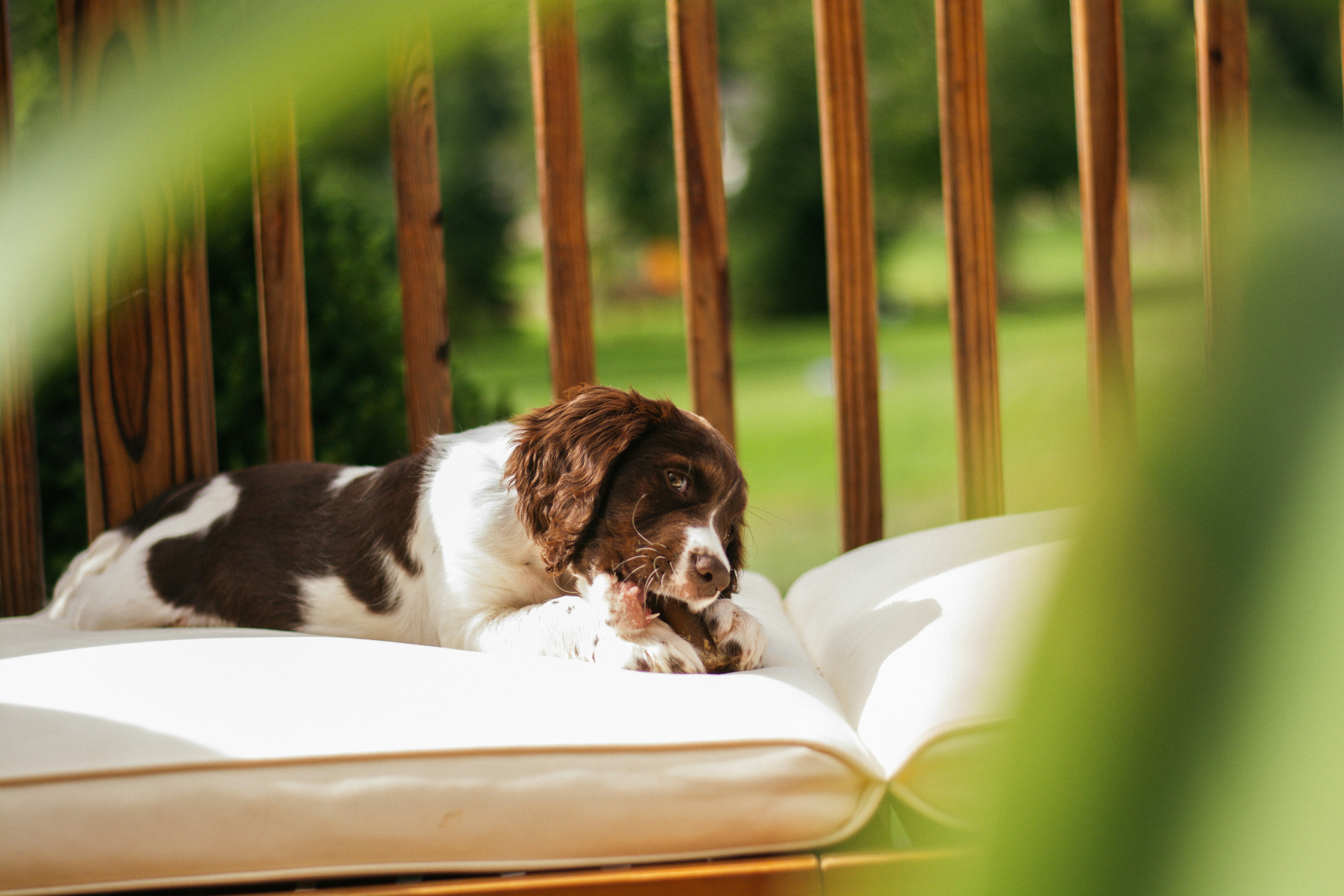 Photo by meaghcafferty