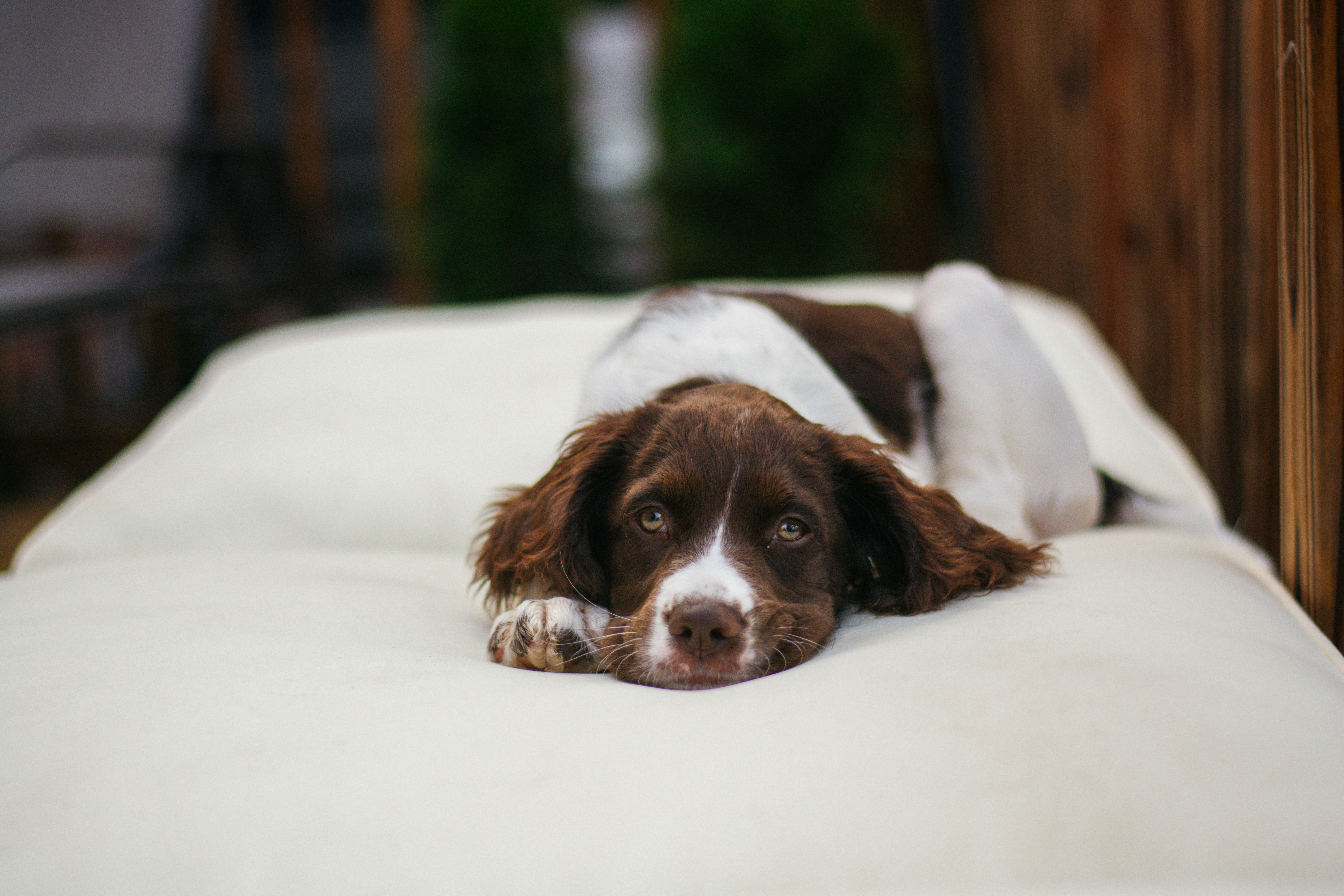 Photo by meaghcafferty