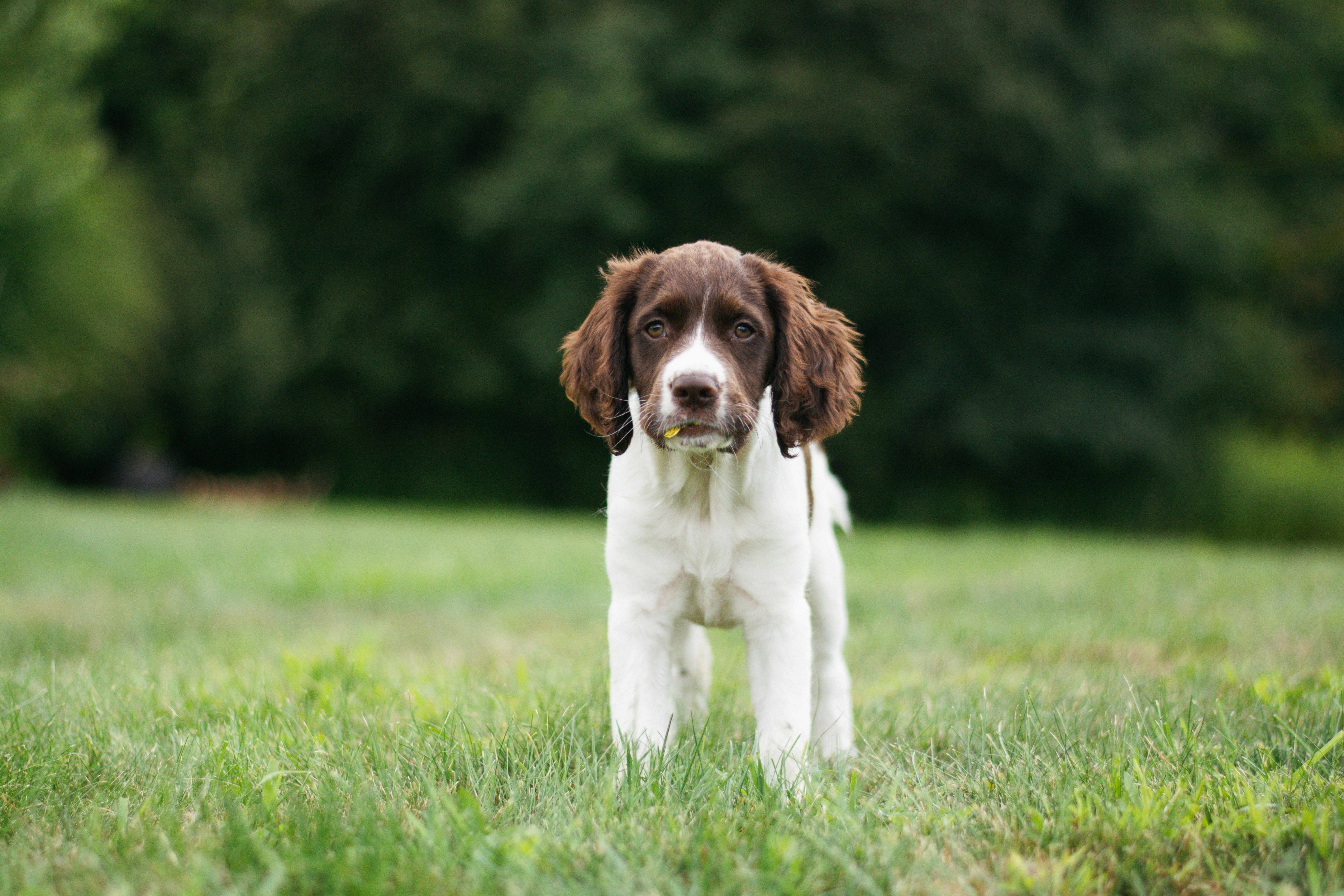 Photo by meaghcafferty