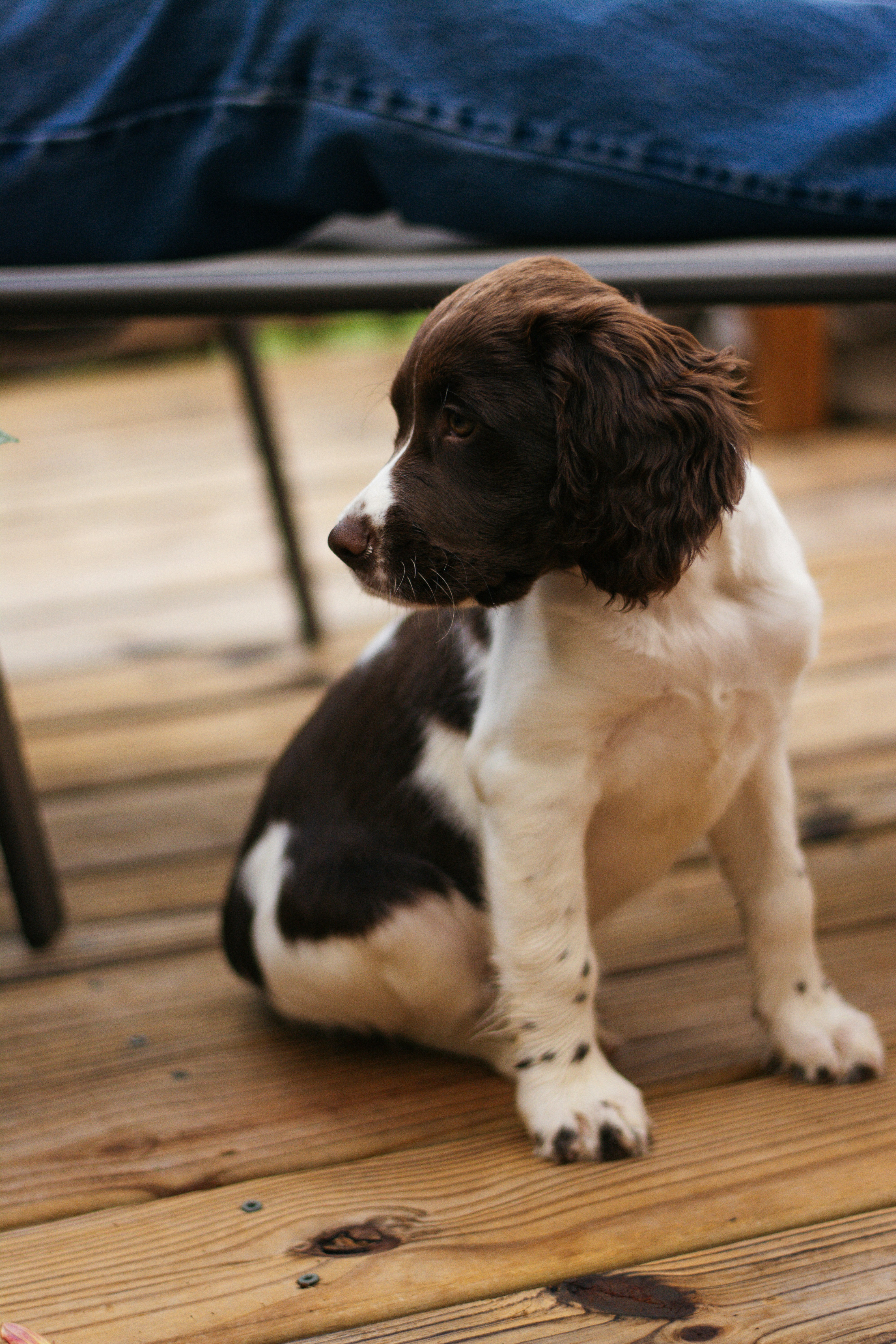 Photo by meaghcafferty