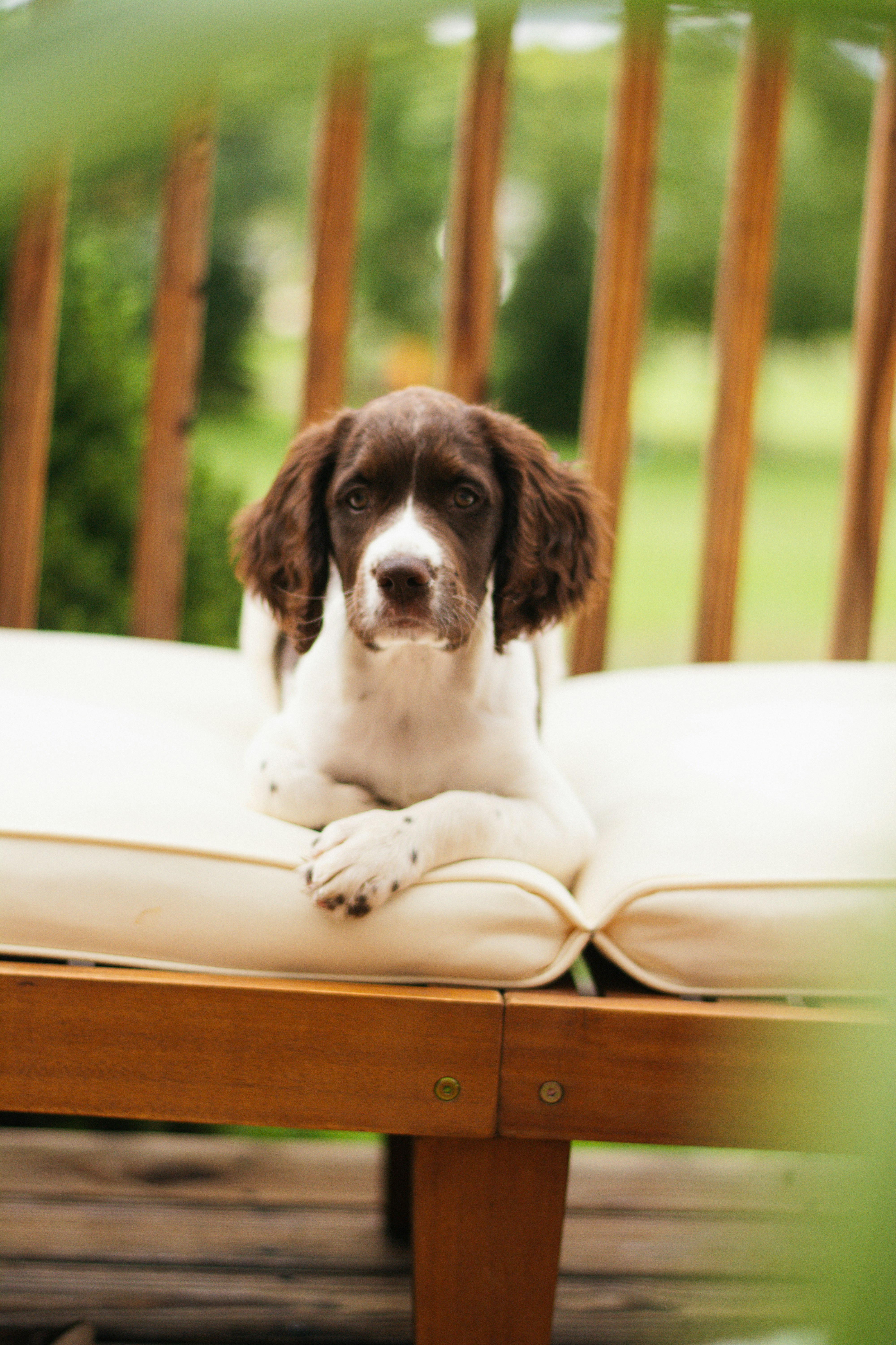 Photo by meaghcafferty