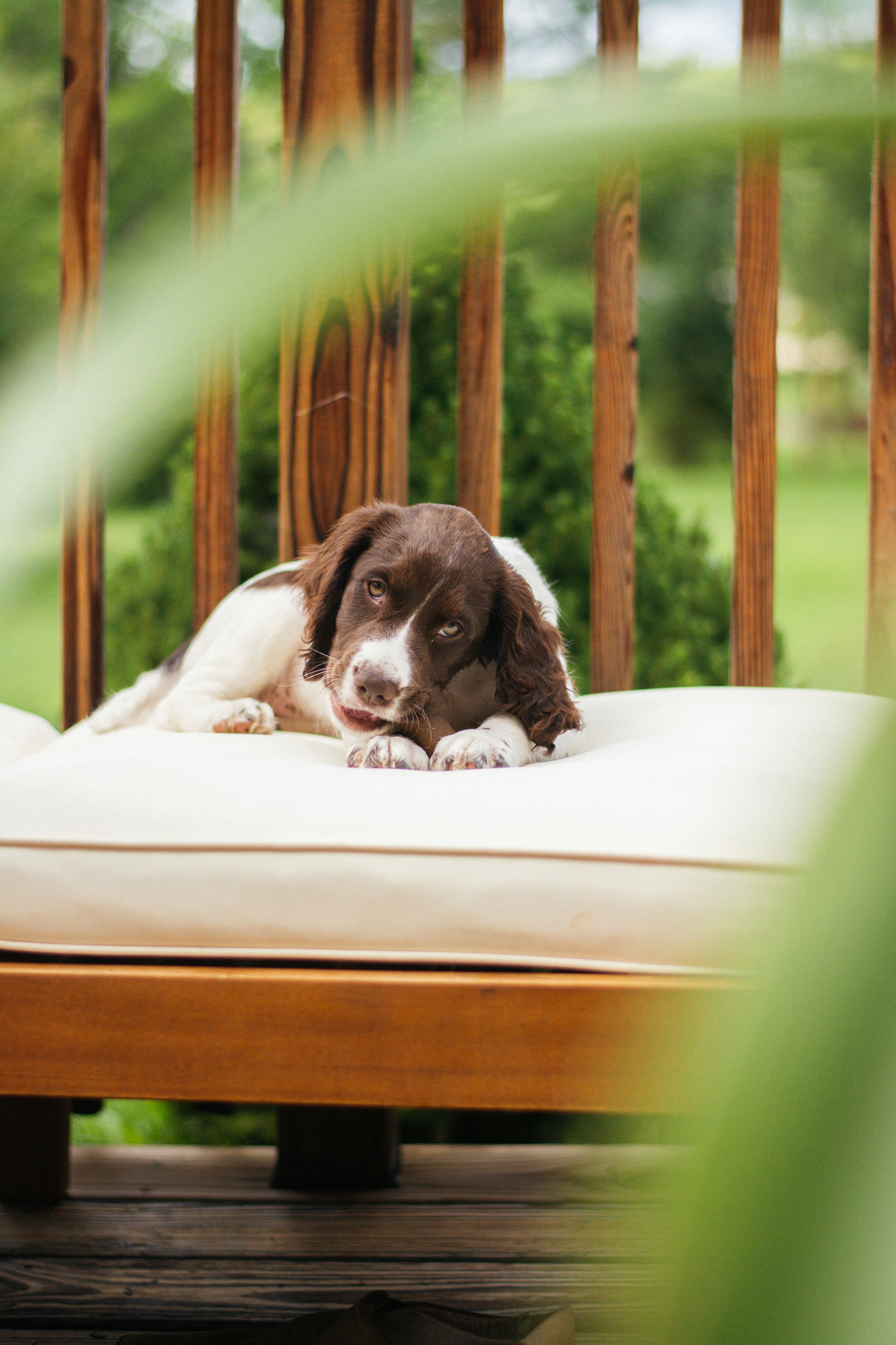 Photo by meaghcafferty