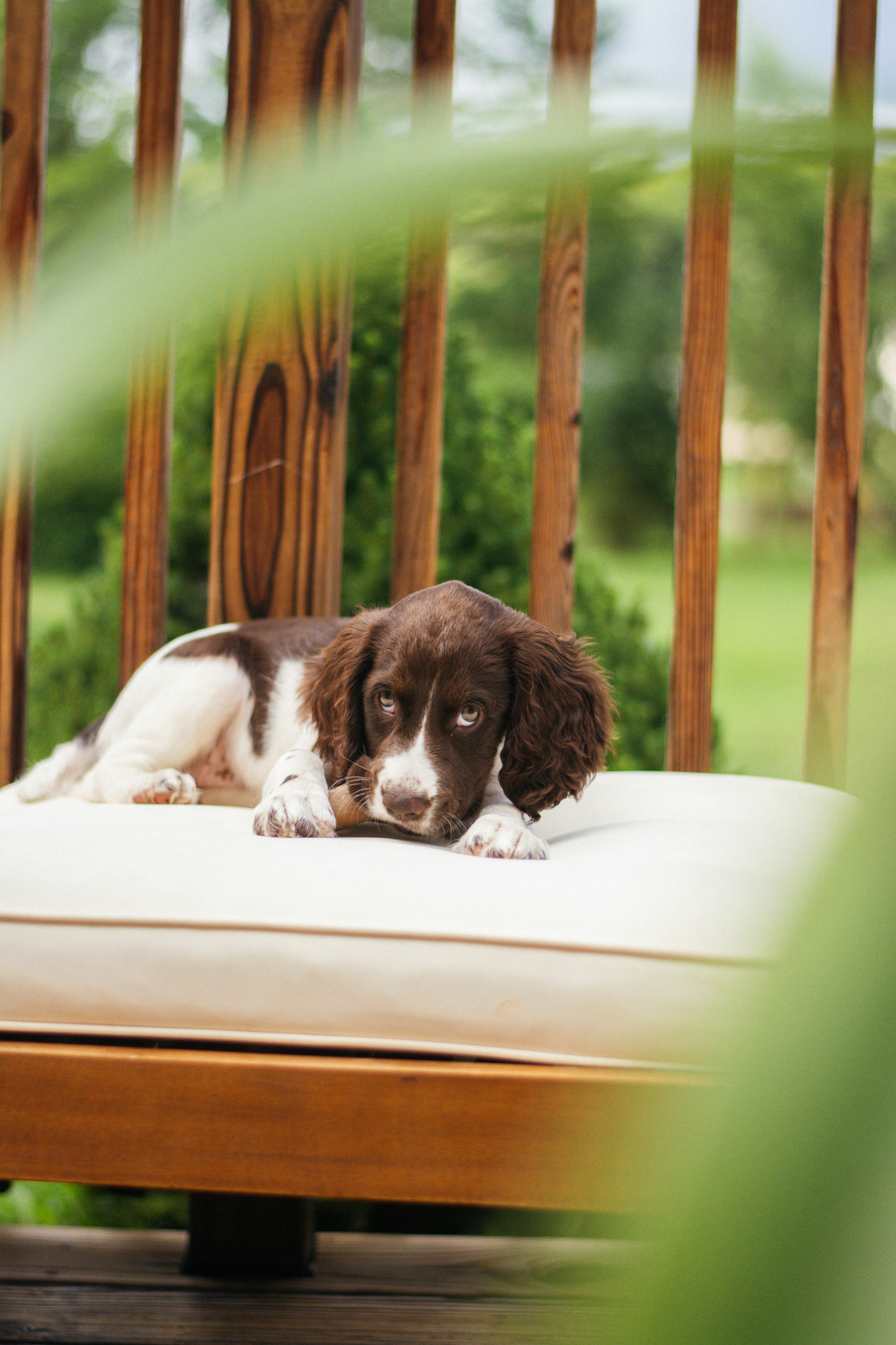 Photo by meaghcafferty