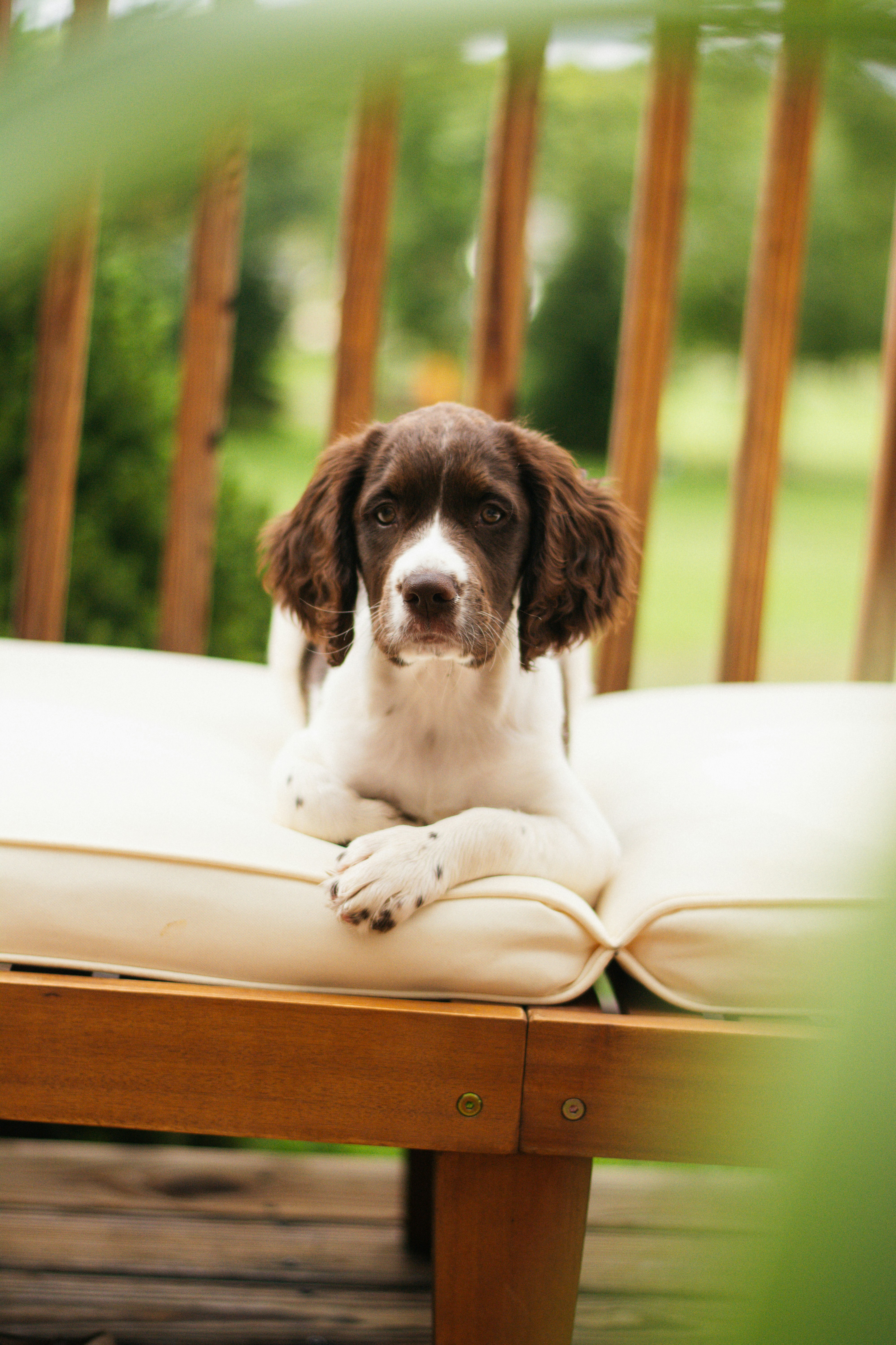 Photo by meaghcafferty