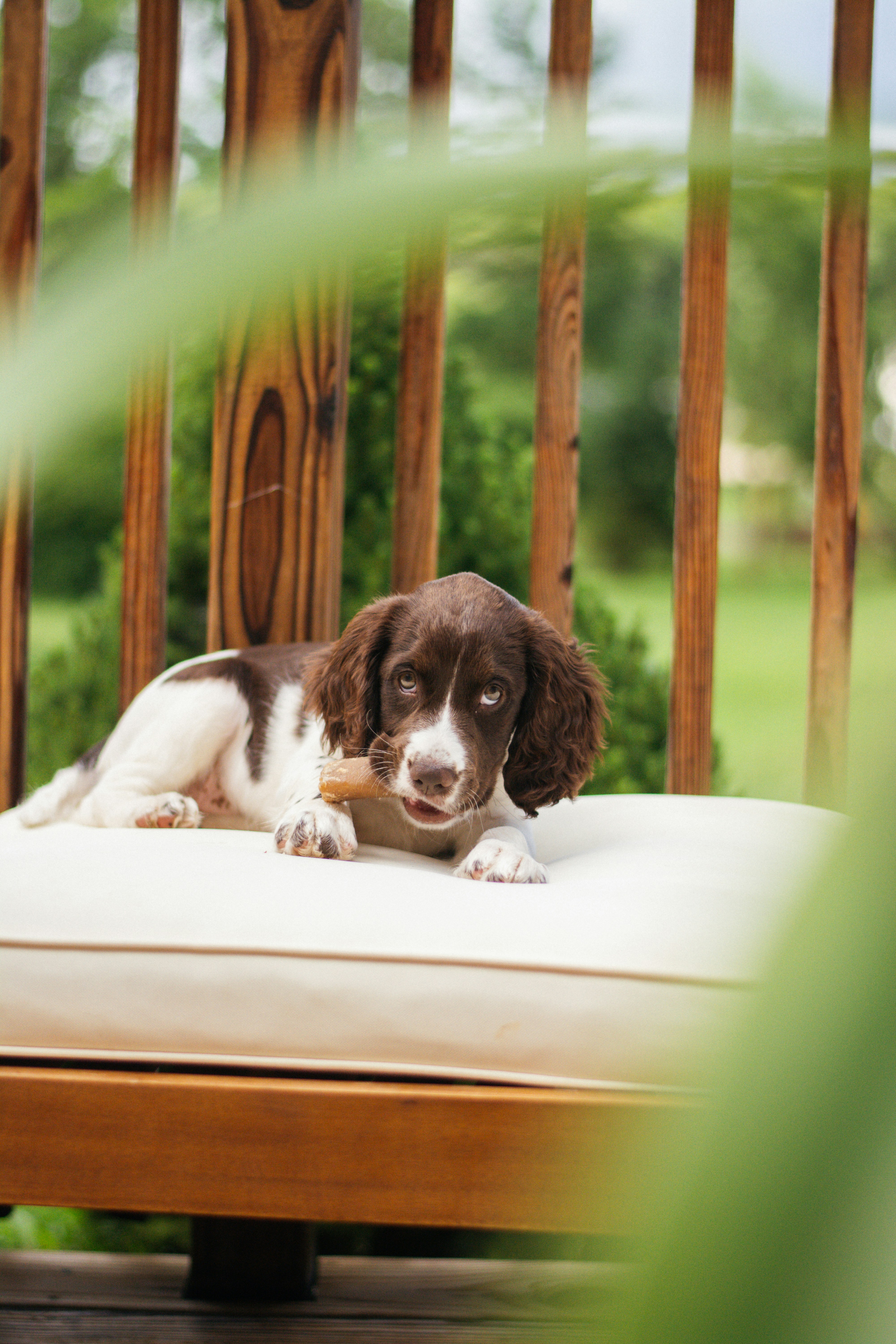 Photo by meaghcafferty