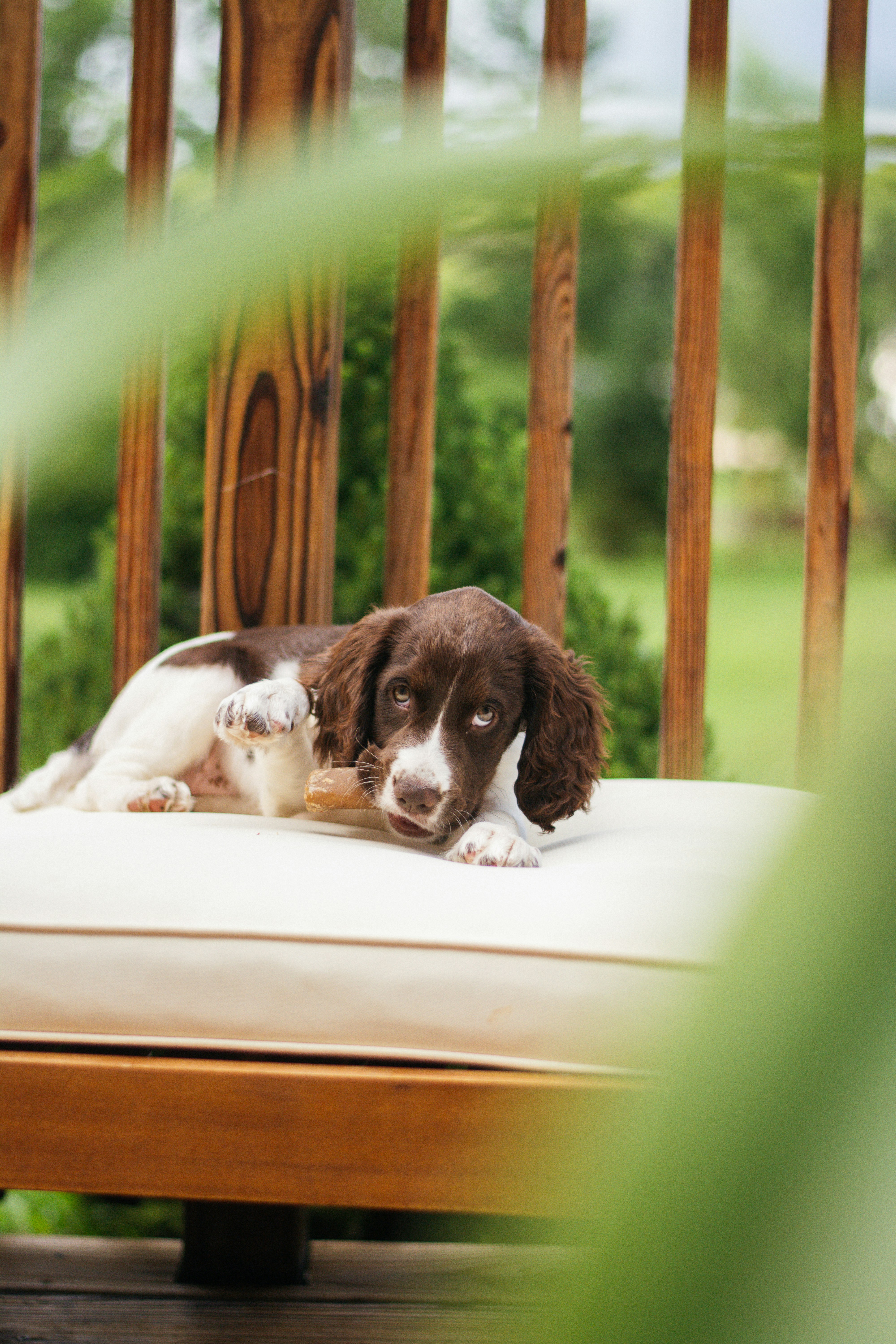 Photo by meaghcafferty