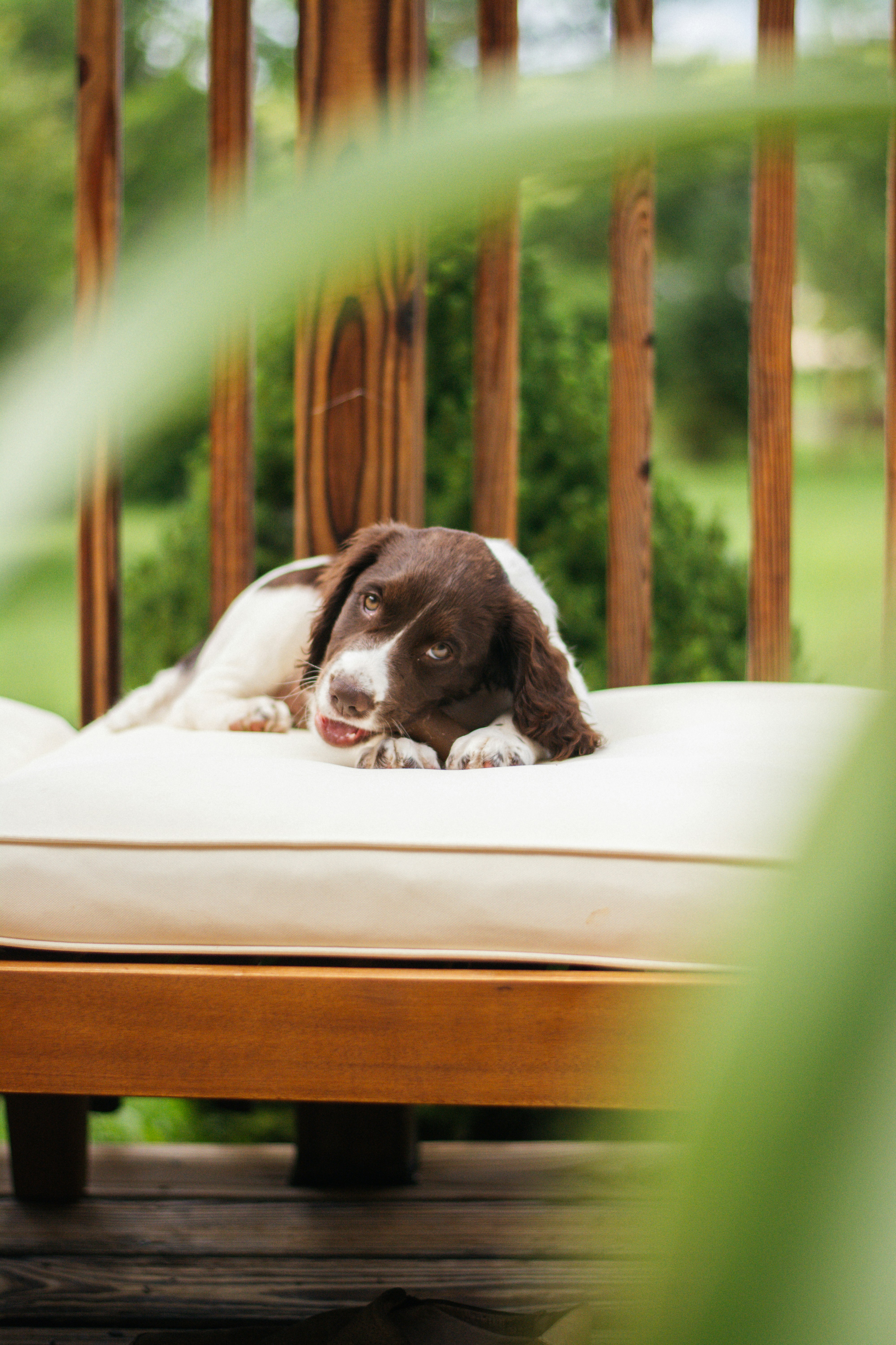 Photo by meaghcafferty