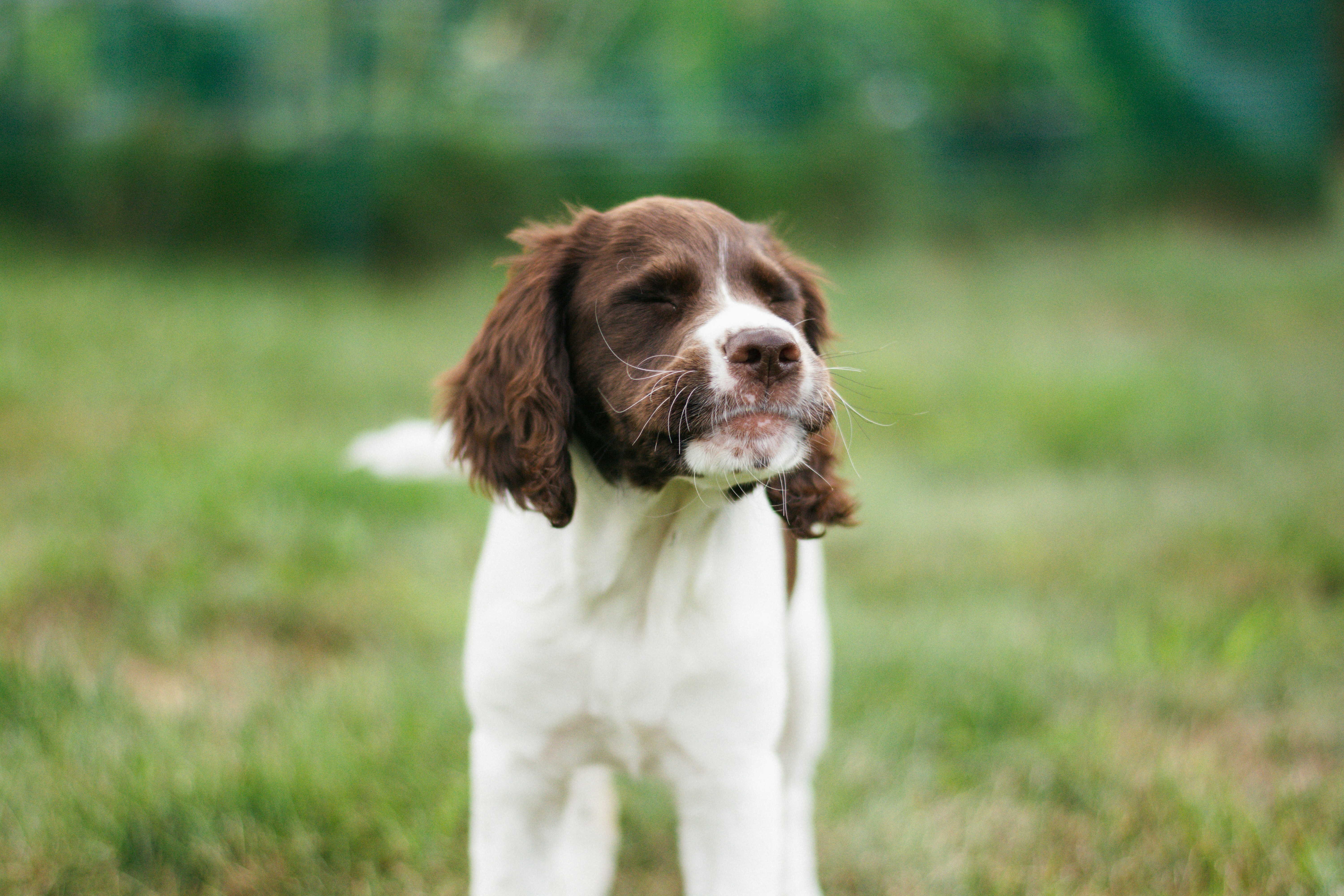 Photo by meaghcafferty