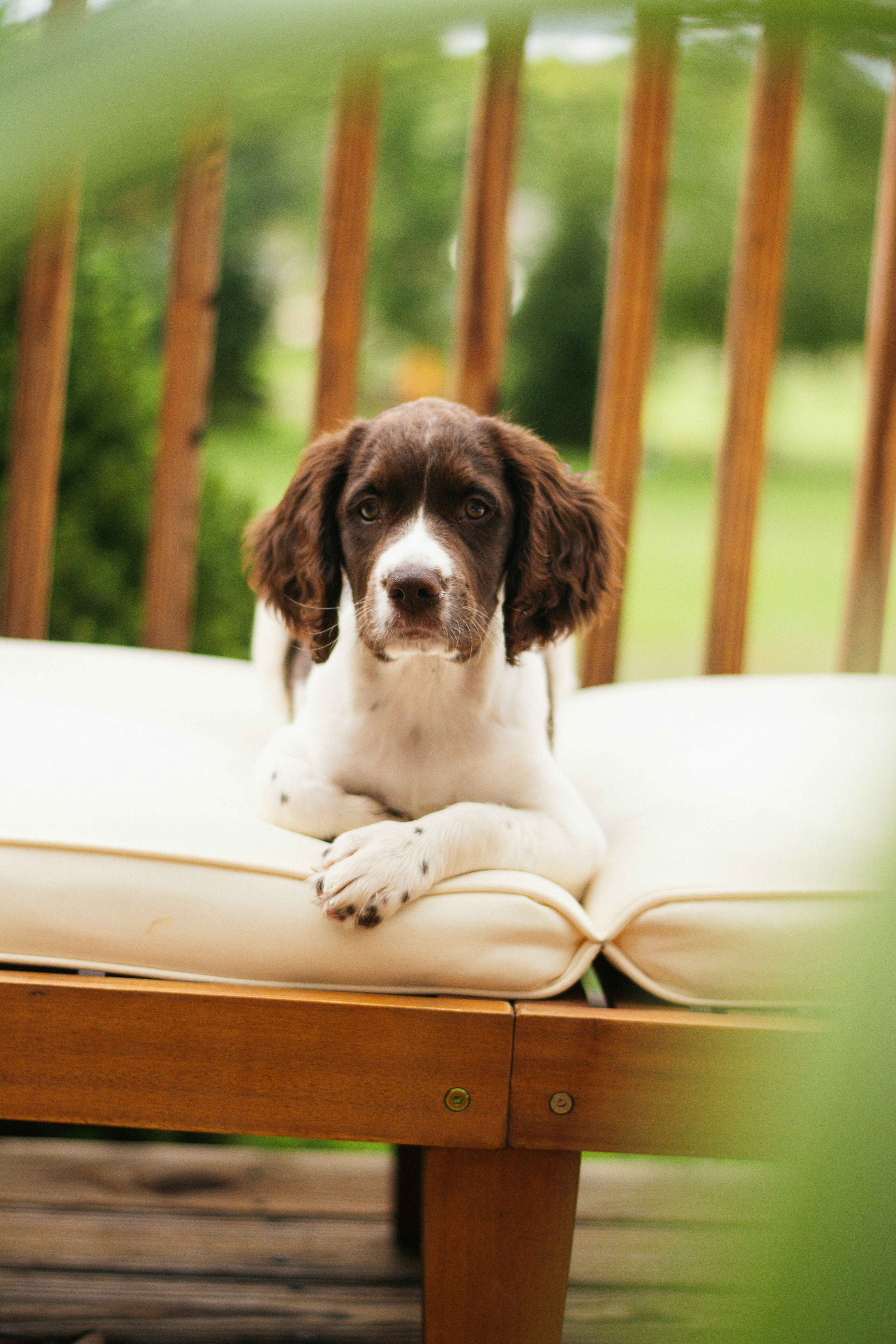 Photo by meaghcafferty