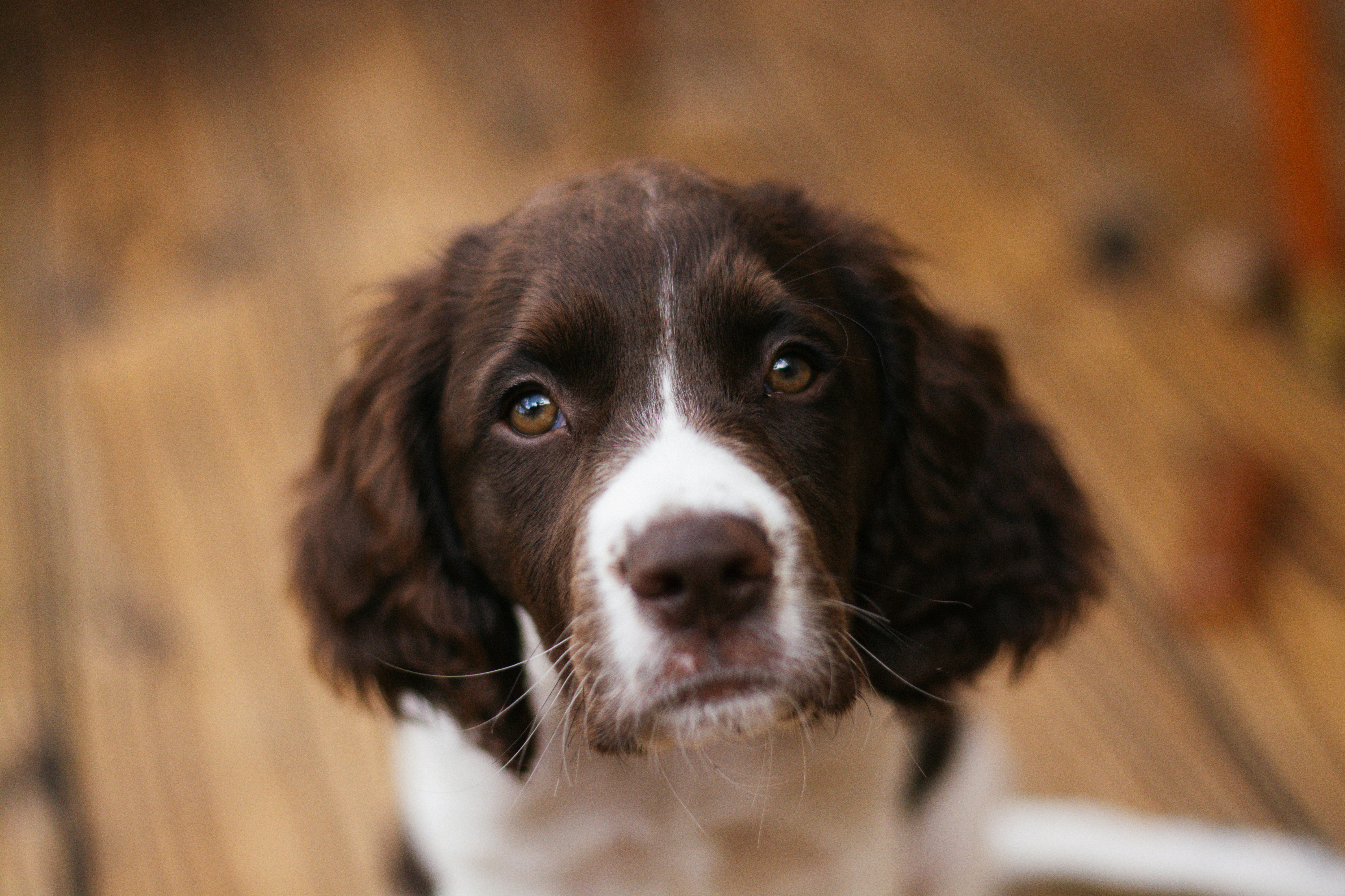 Photo by meaghcafferty