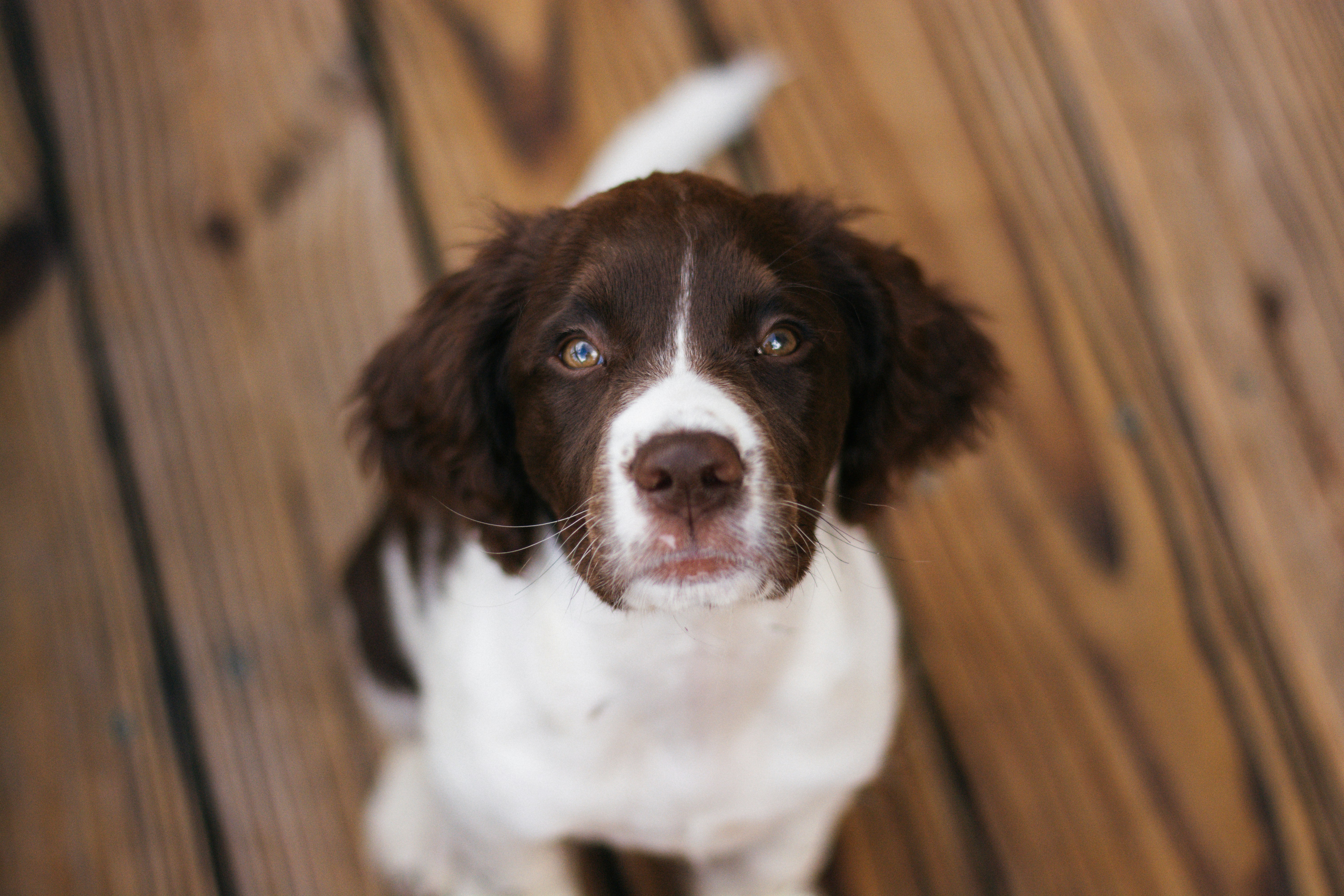 Photo by meaghcafferty