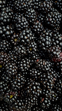 A pile of blackberries sitting on top of a table