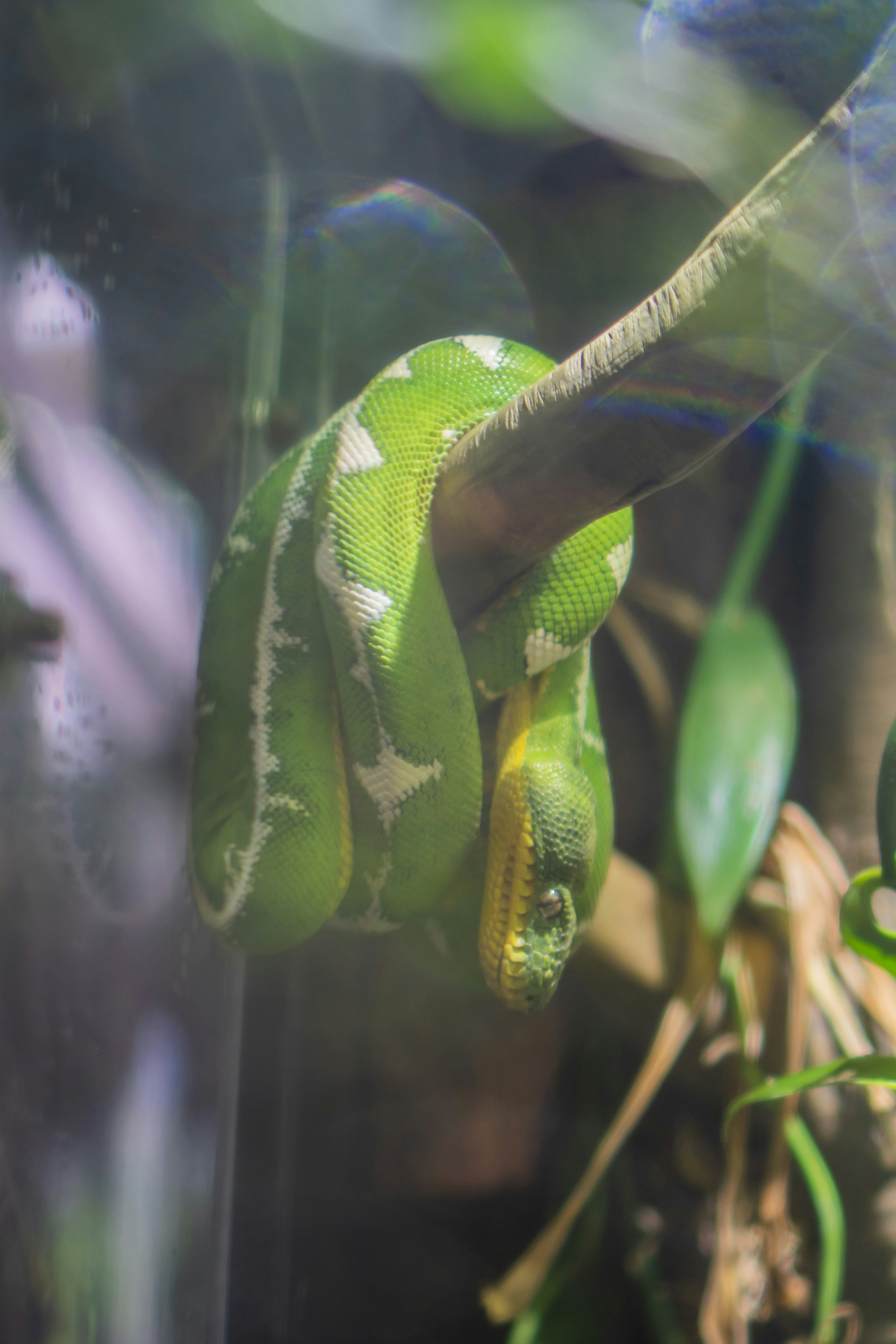 Photo by zhenyao_photo