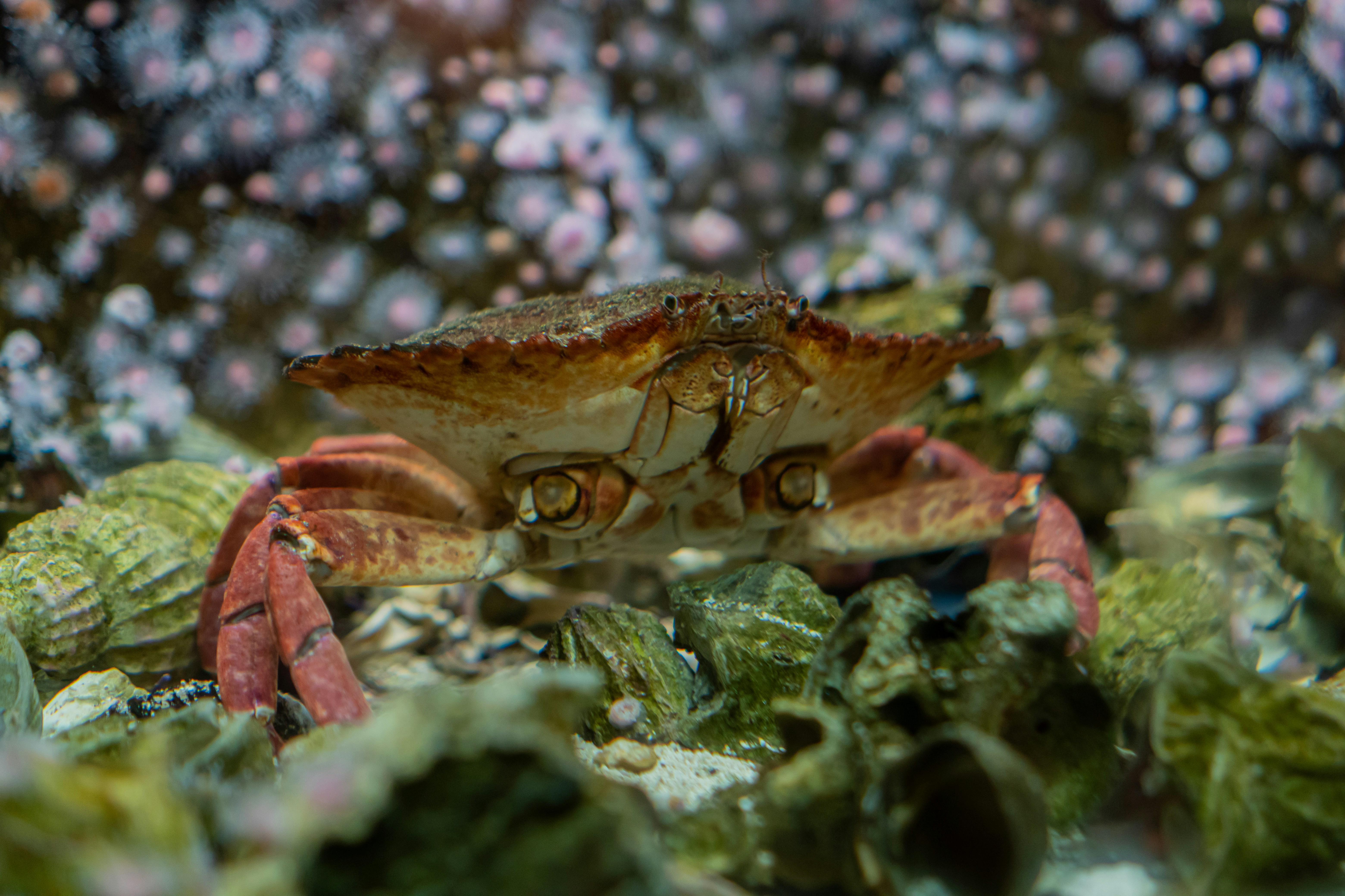 Photo by zhenyao_photo