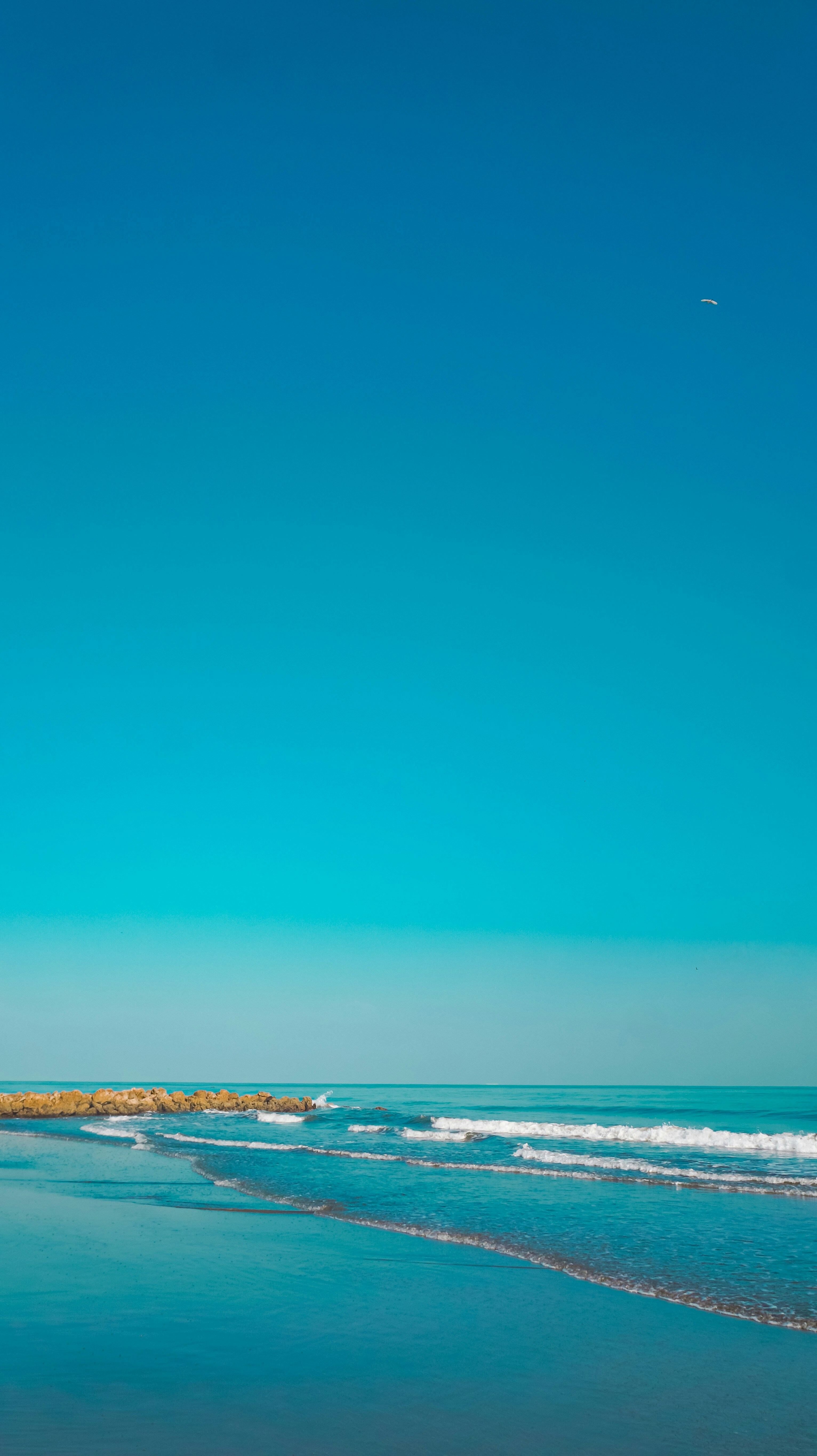 Photo by camilabermudez