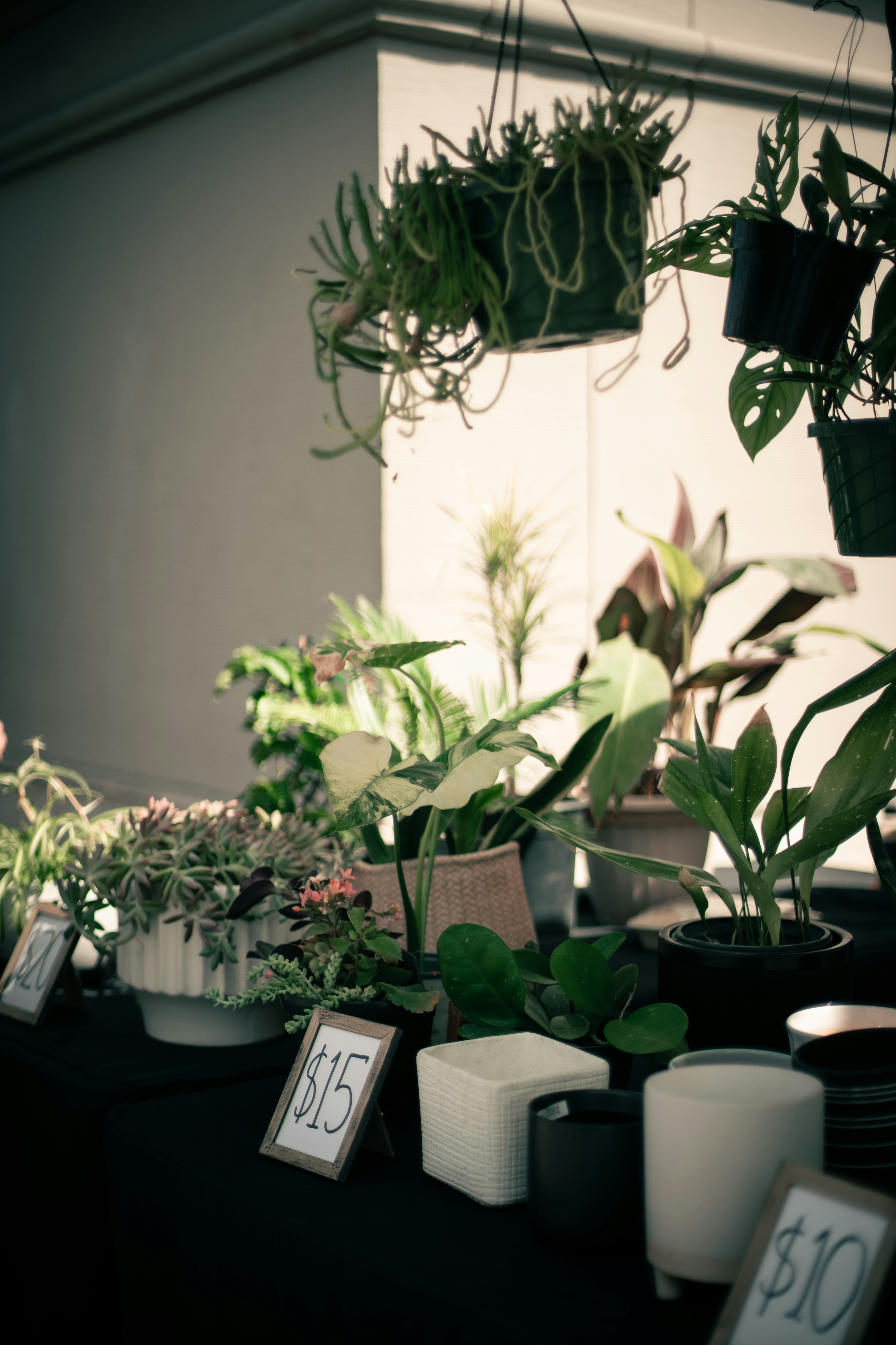 Photo by madeline_sd