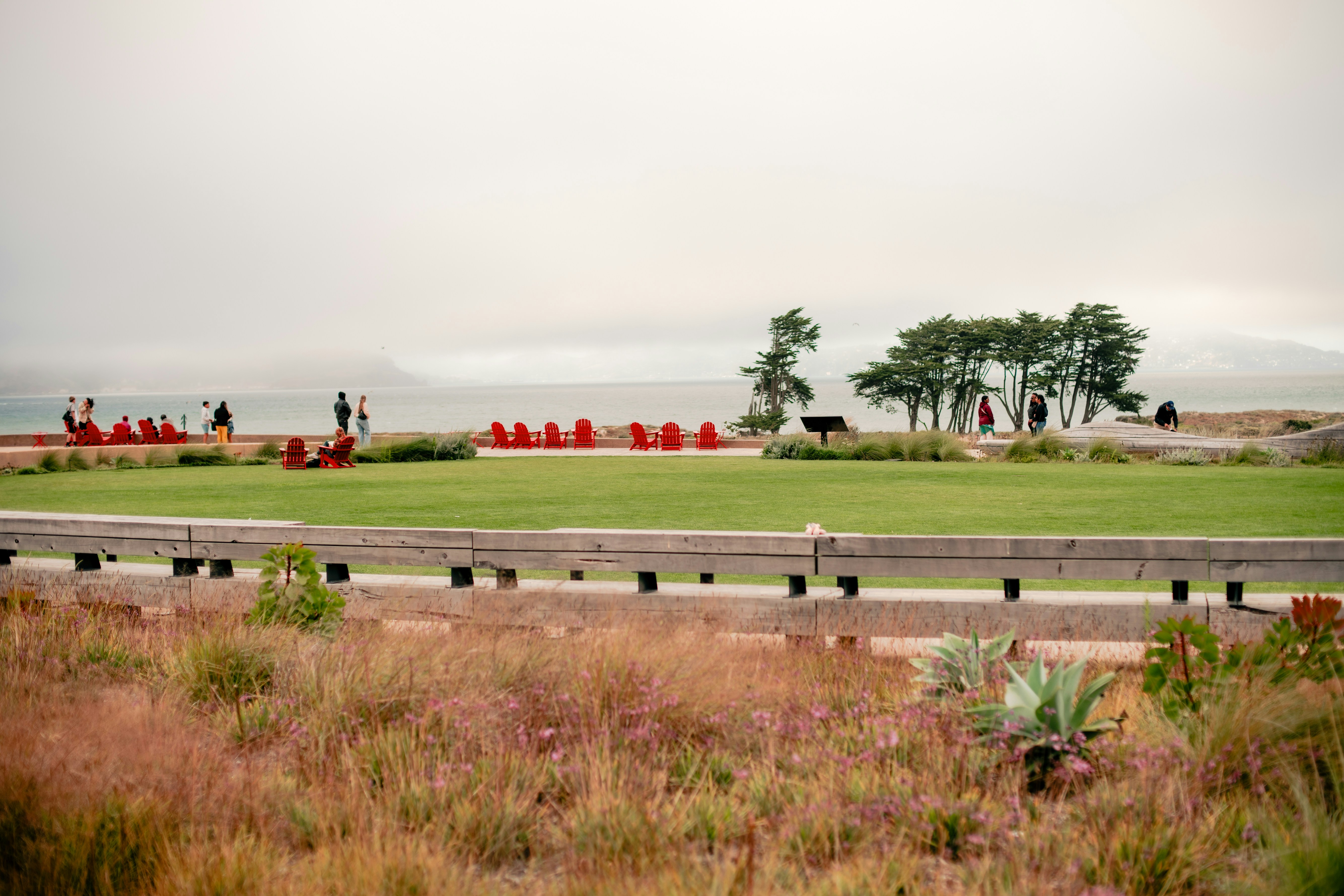 Photo by madeline_sd