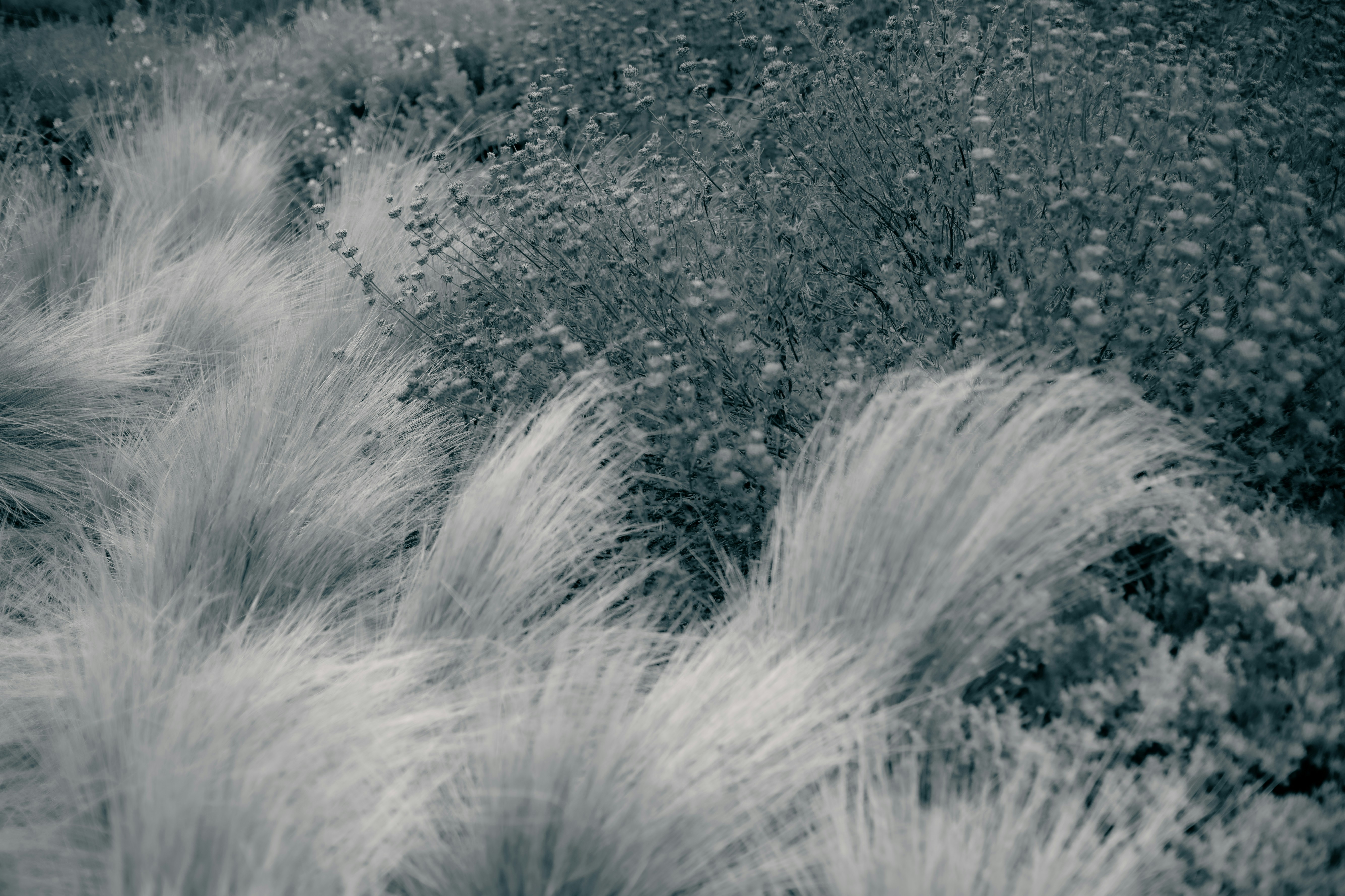 Photo by madeline_sd