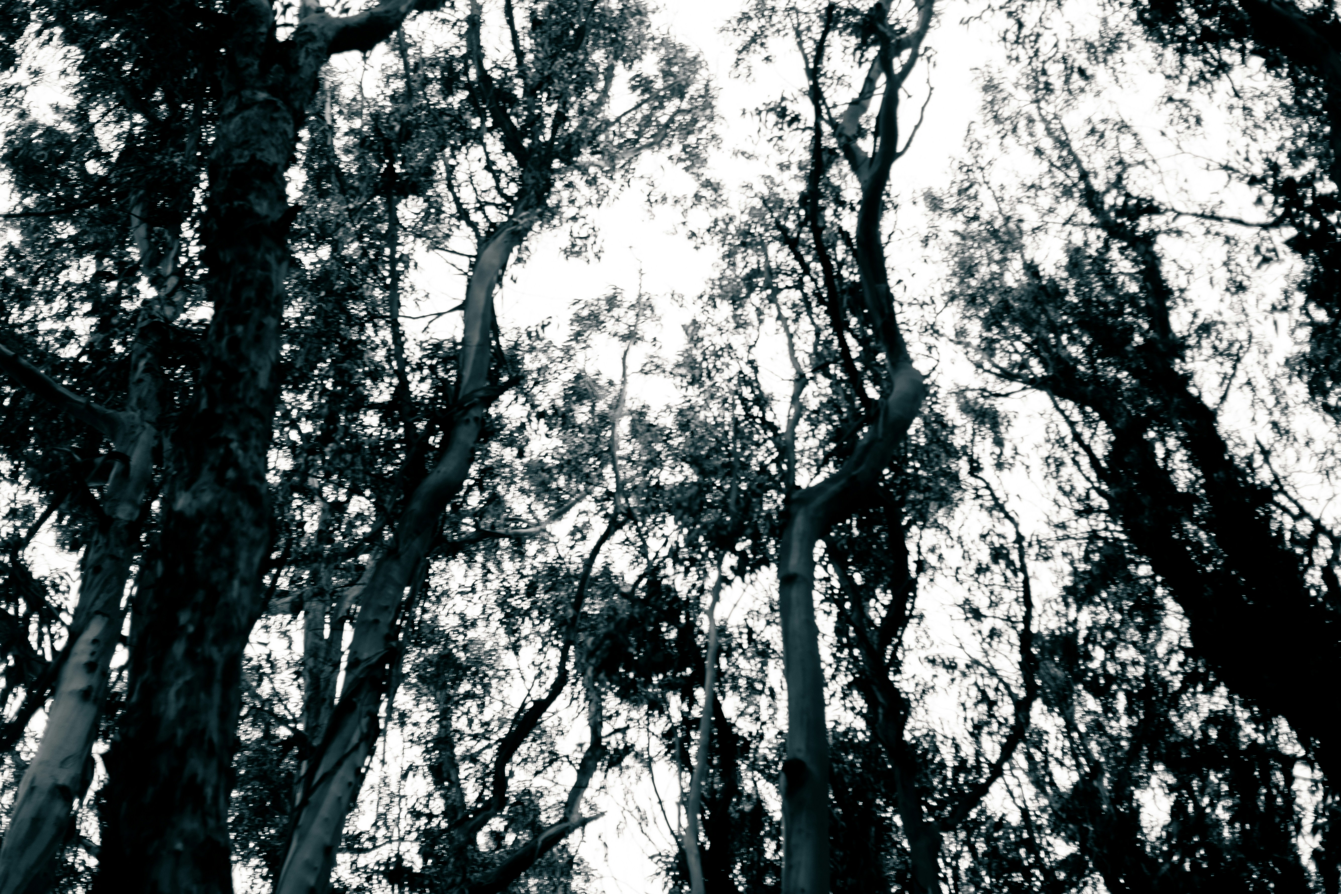 Photo by madeline_sd