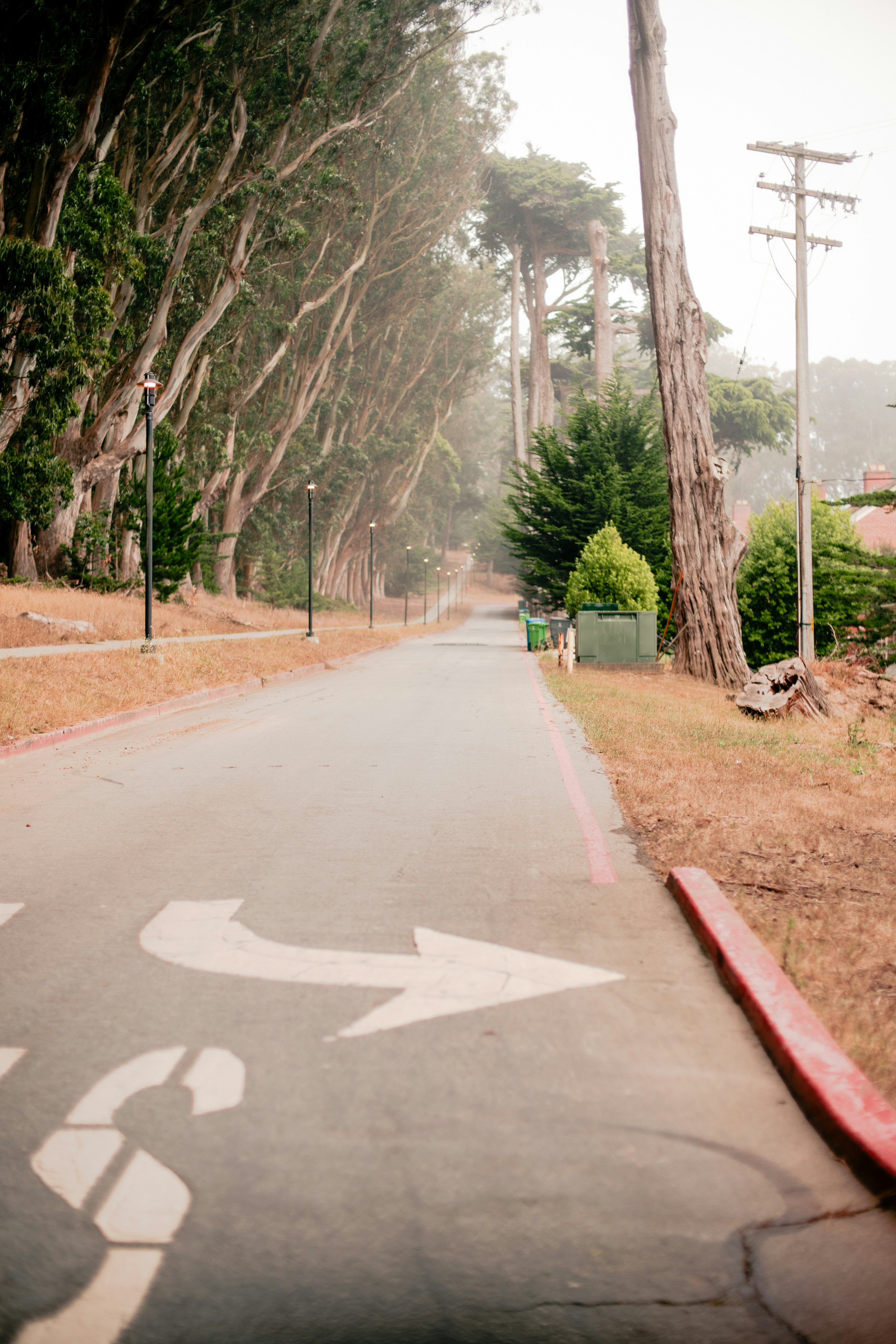 Photo by madeline_sd