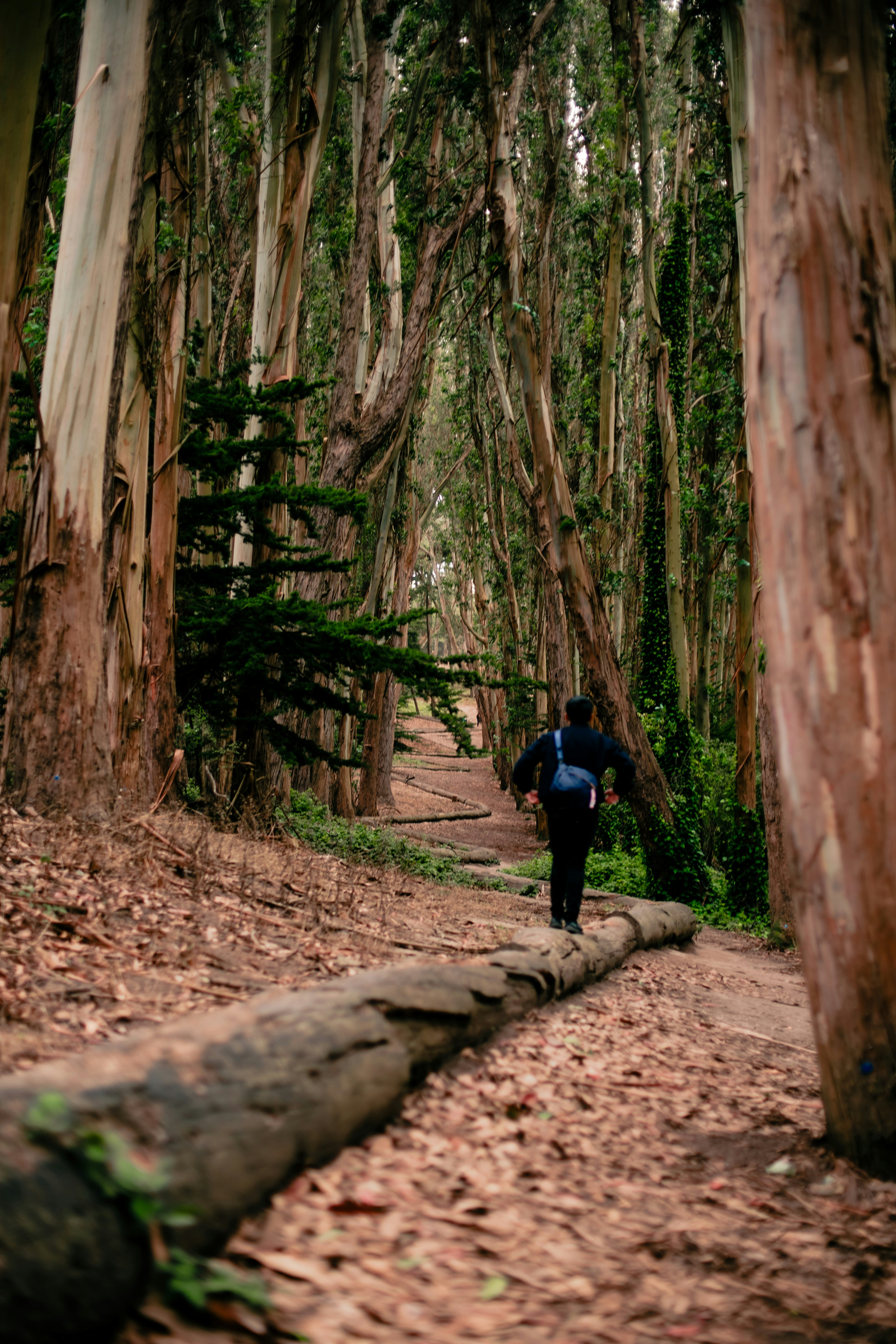 Photo by madeline_sd