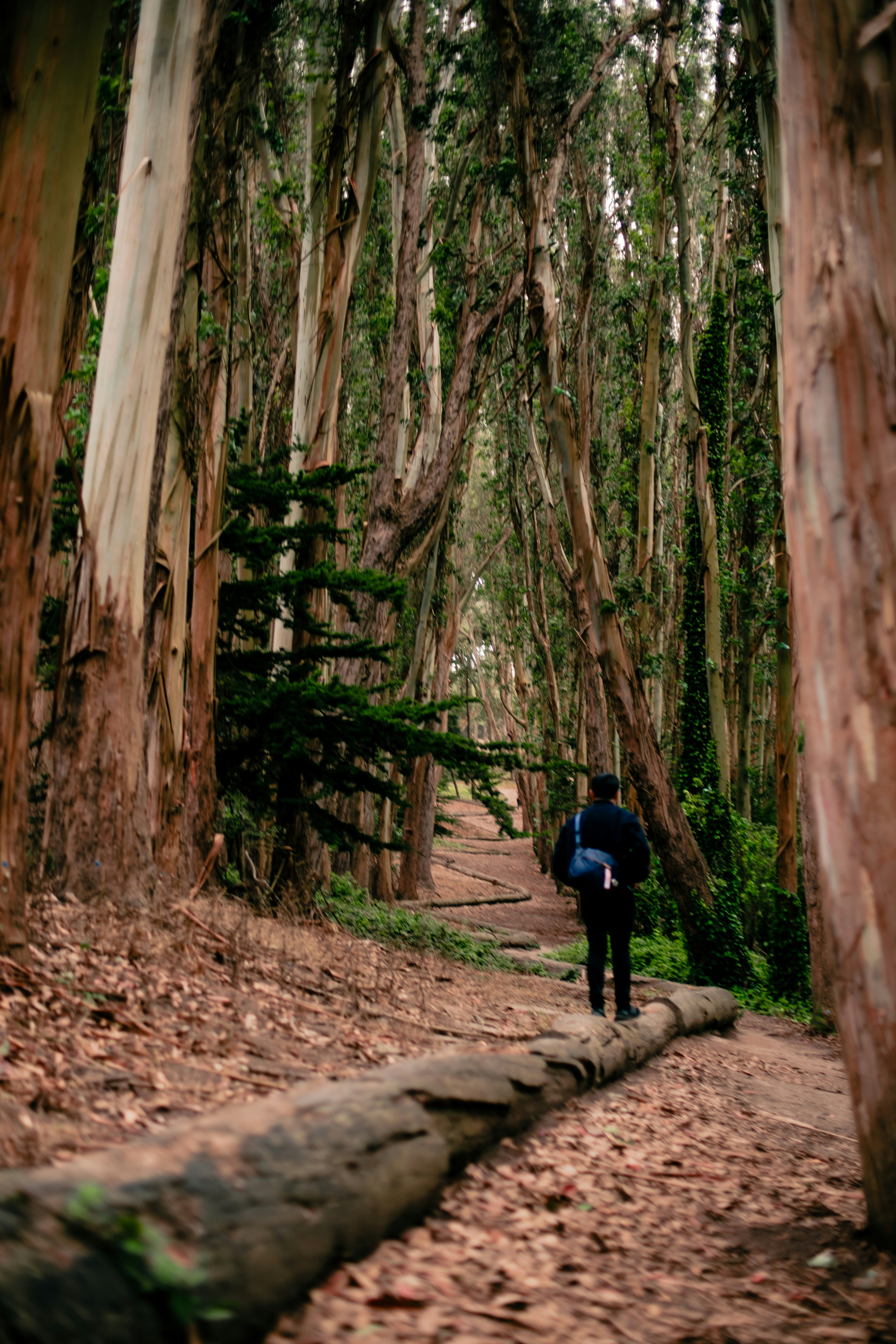 Photo by madeline_sd