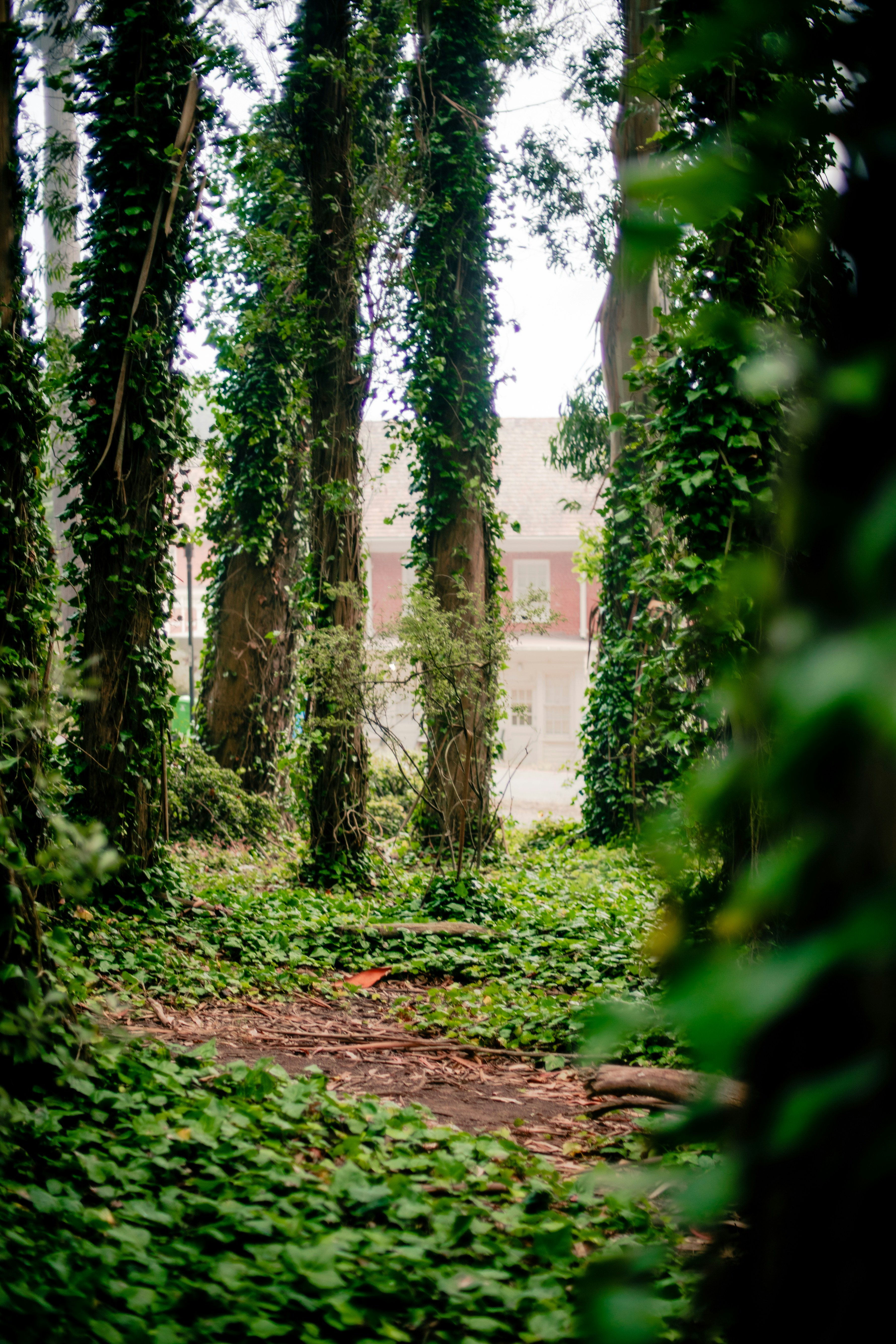 Photo by madeline_sd