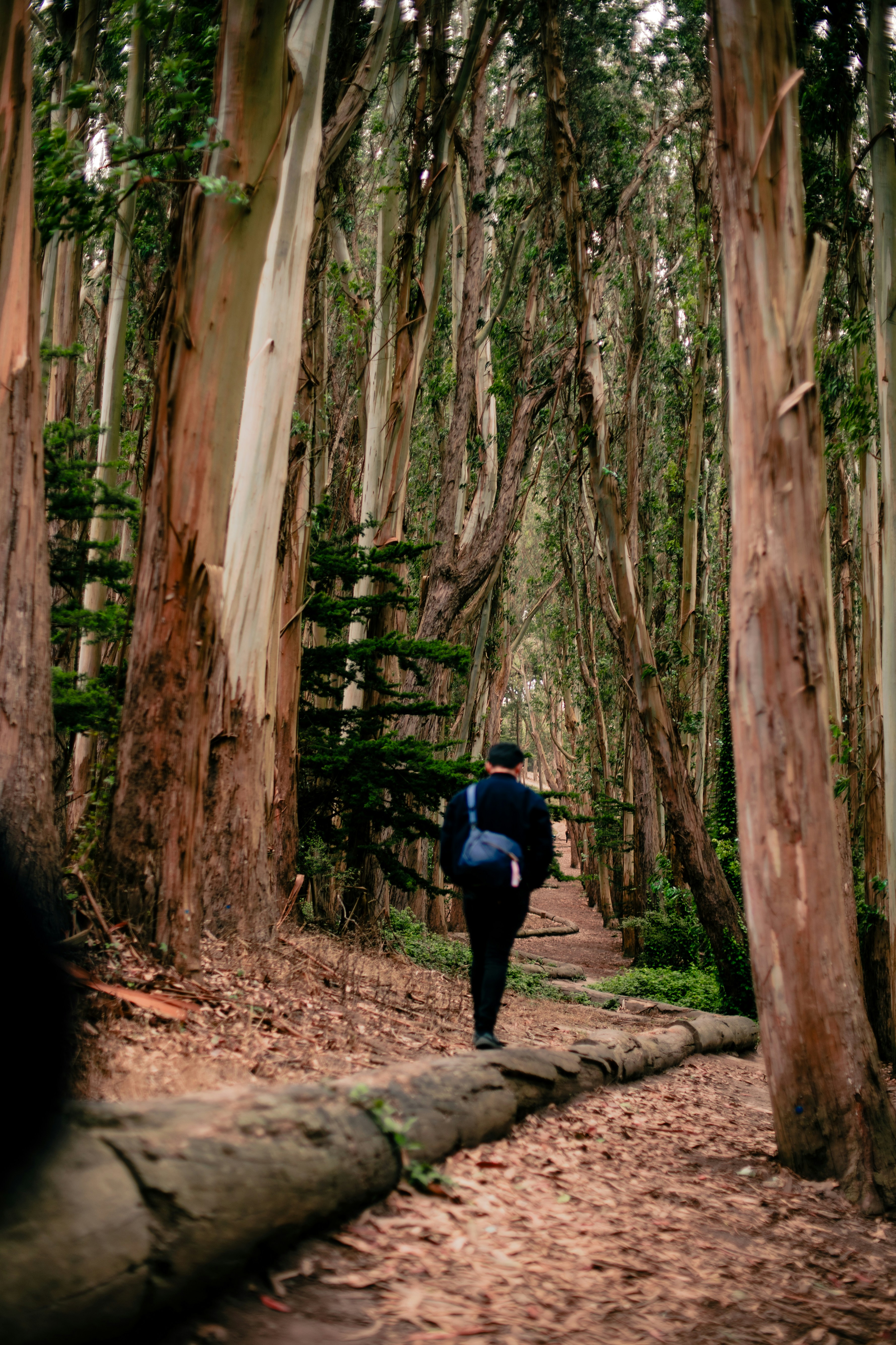 Photo by madeline_sd