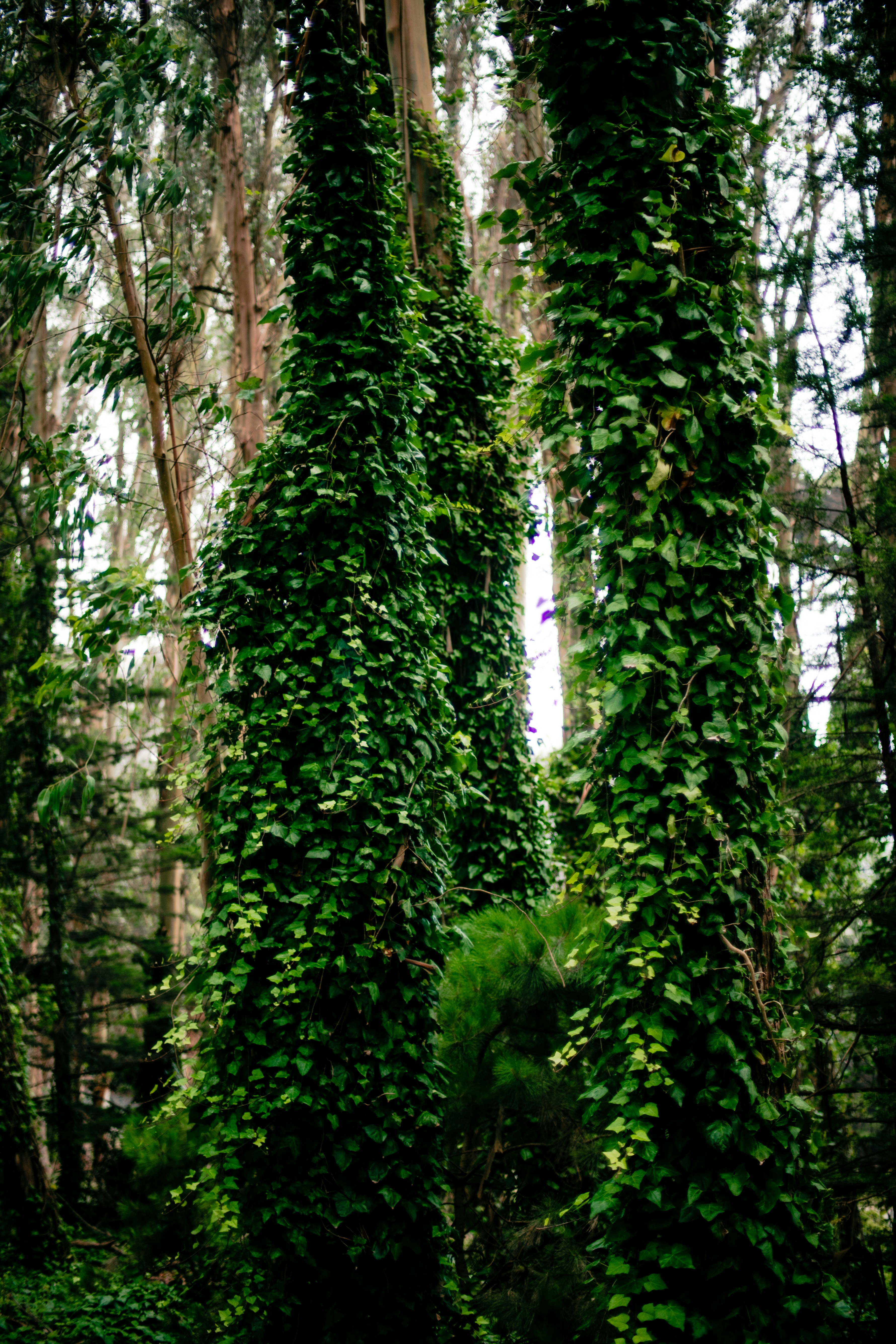 Photo by madeline_sd