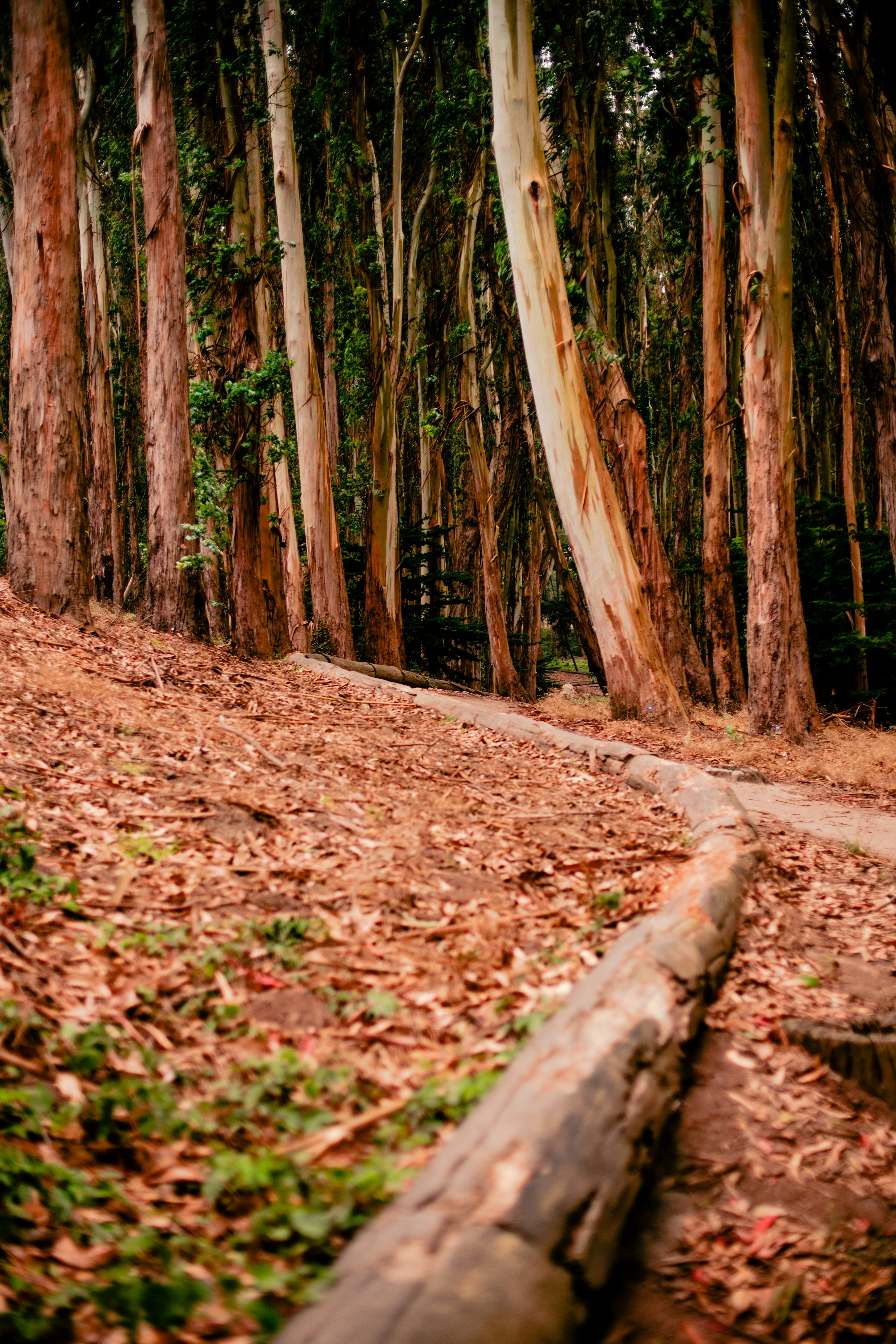 Photo by madeline_sd