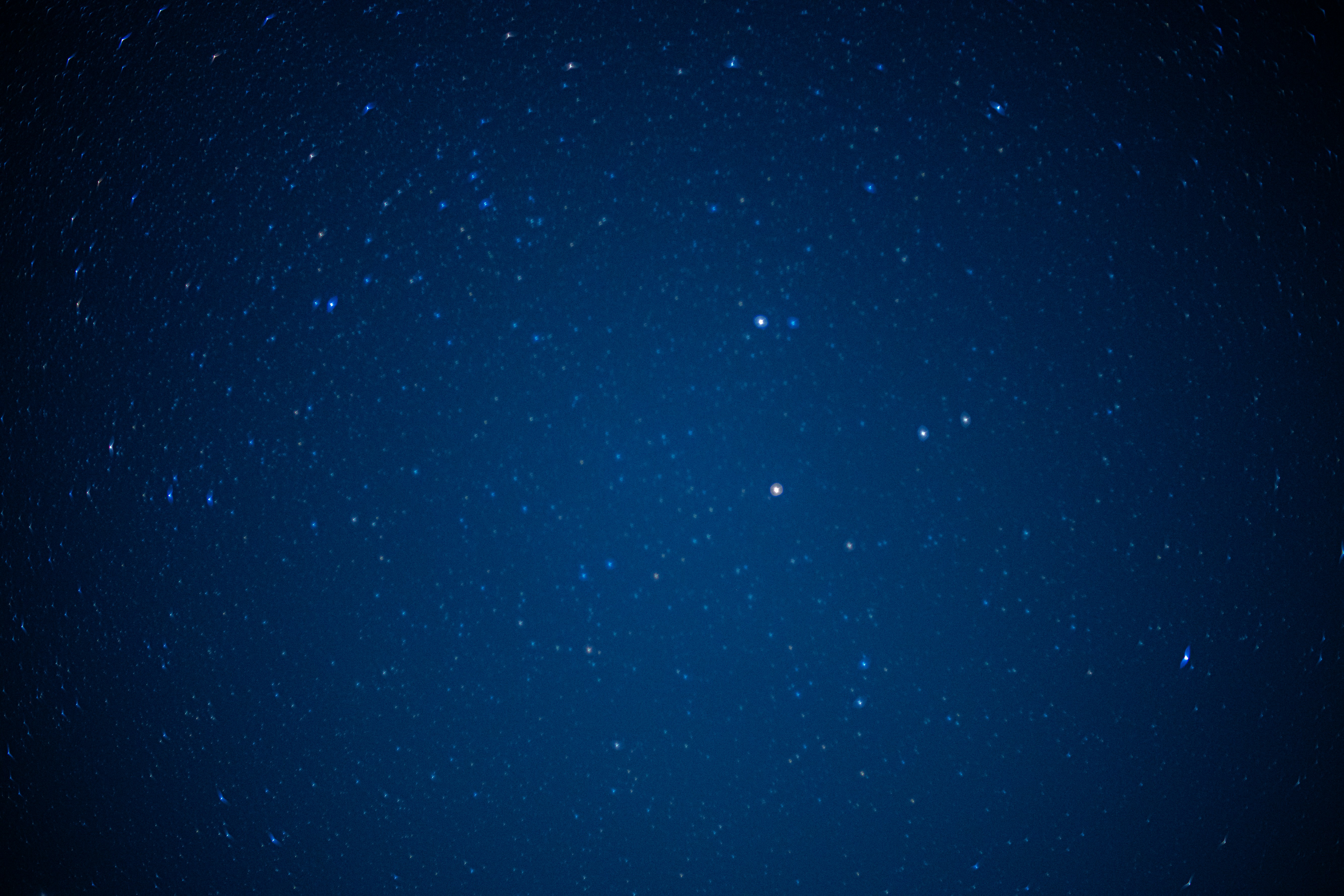 Photo by madeline_sd