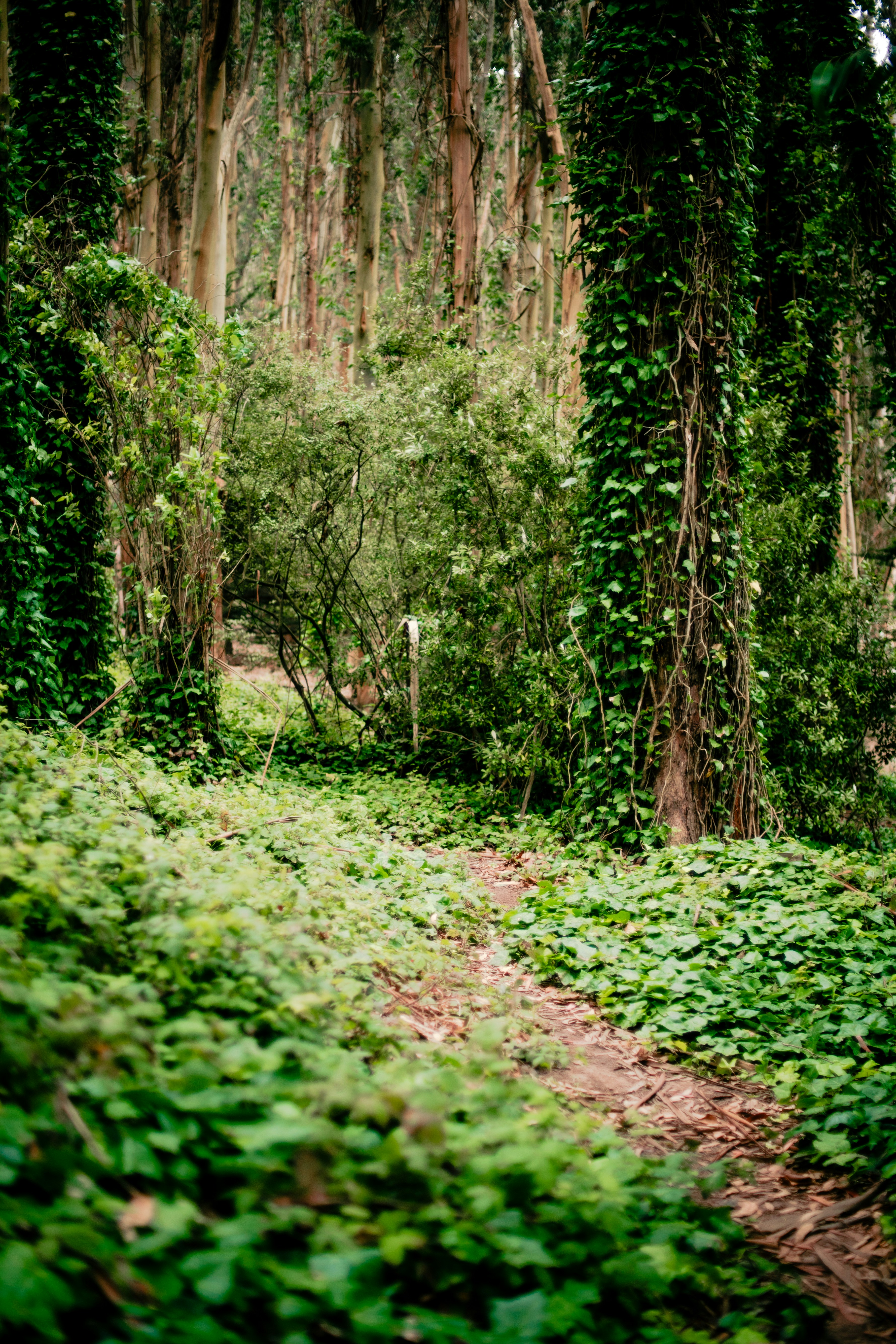 Photo by madeline_sd