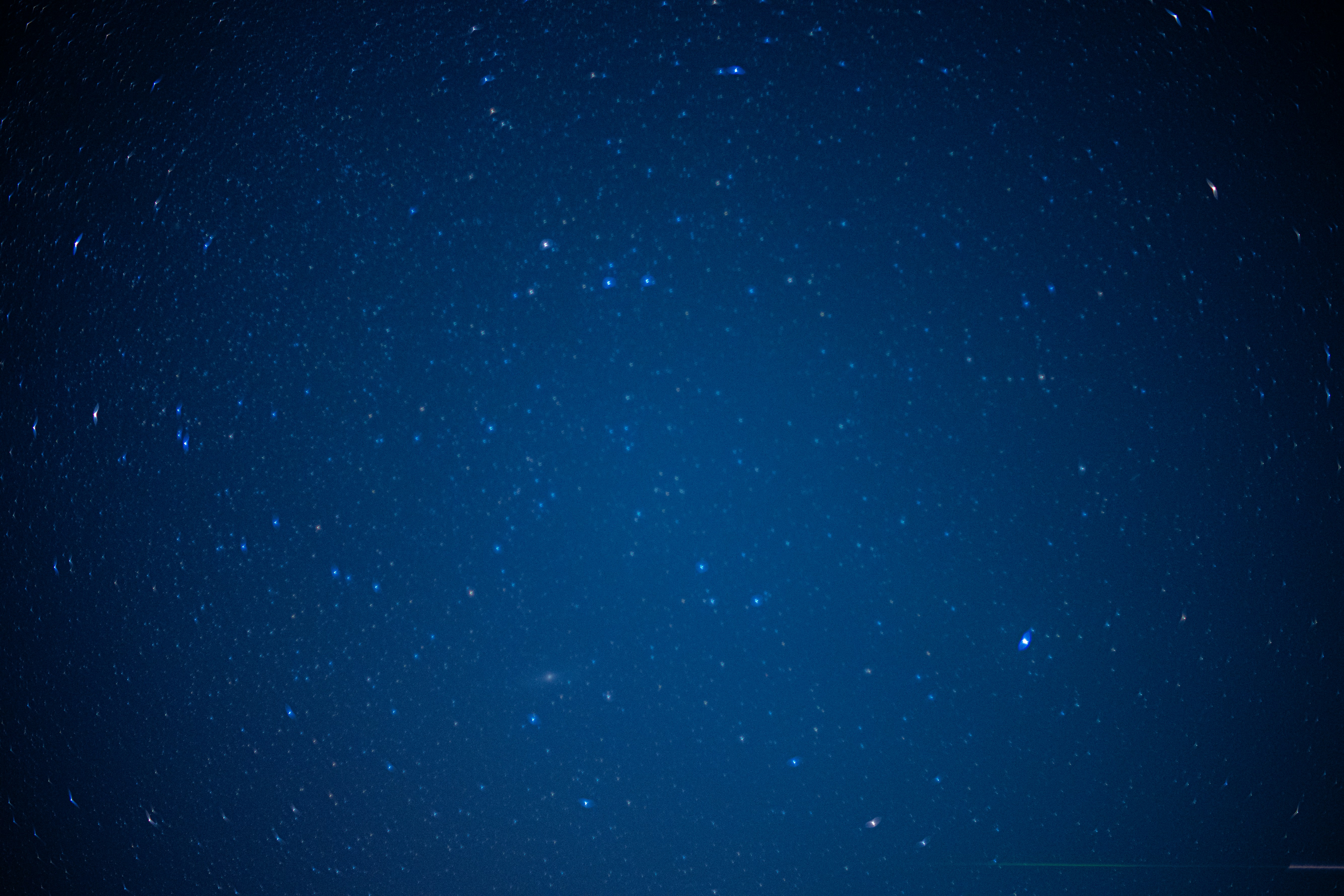 Photo by madeline_sd