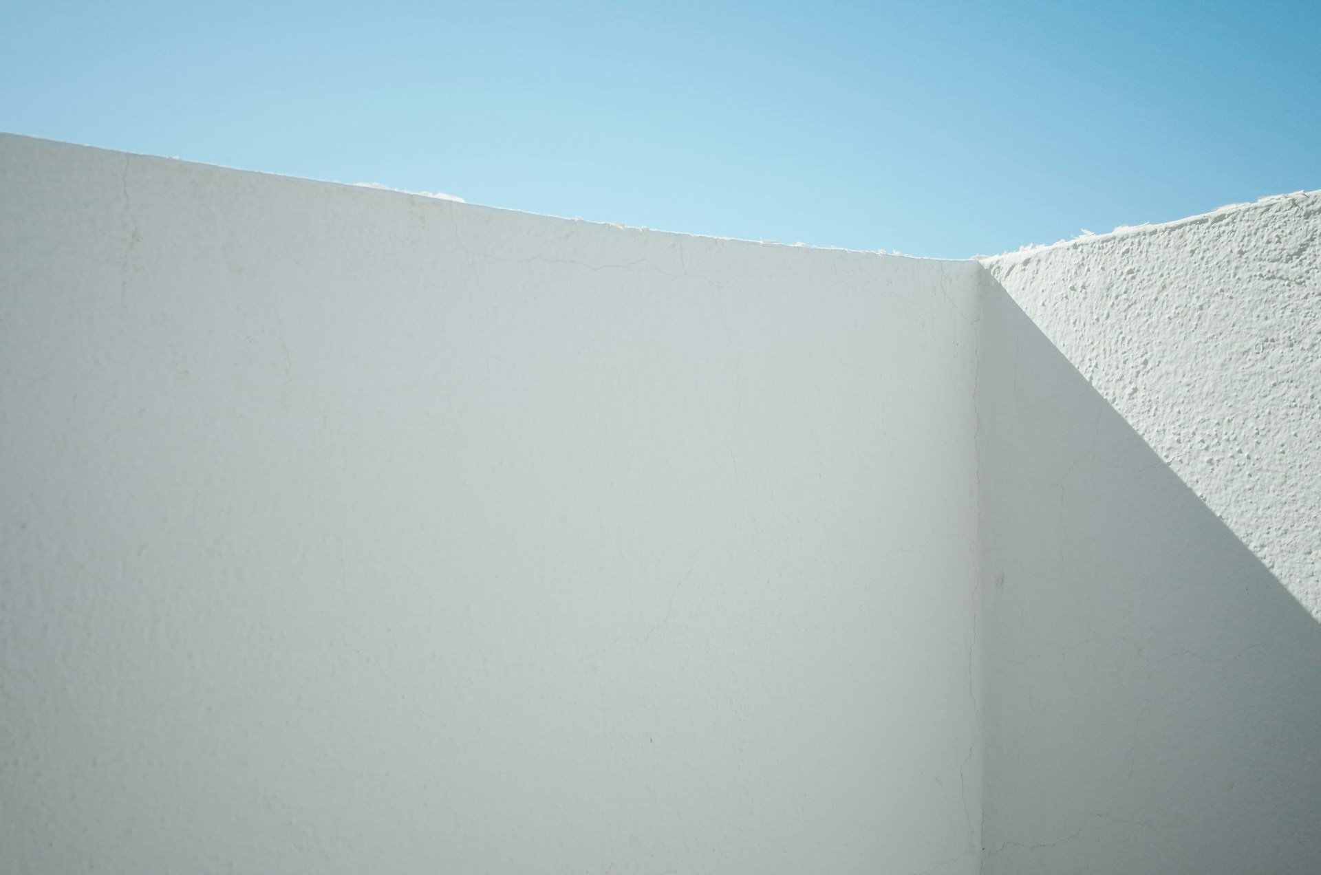 A person jumping a skate board in the air