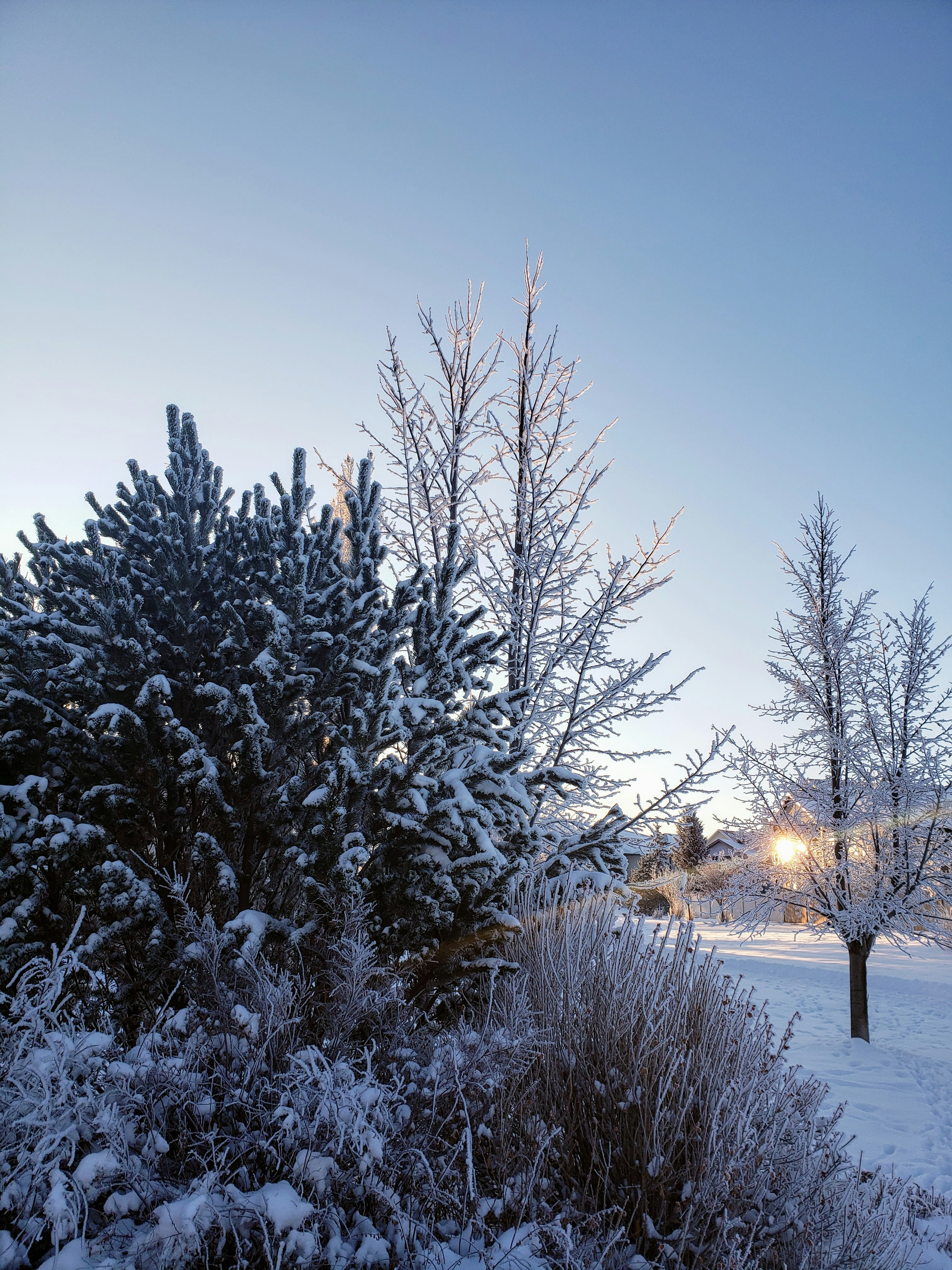 Photo by reading_rachel