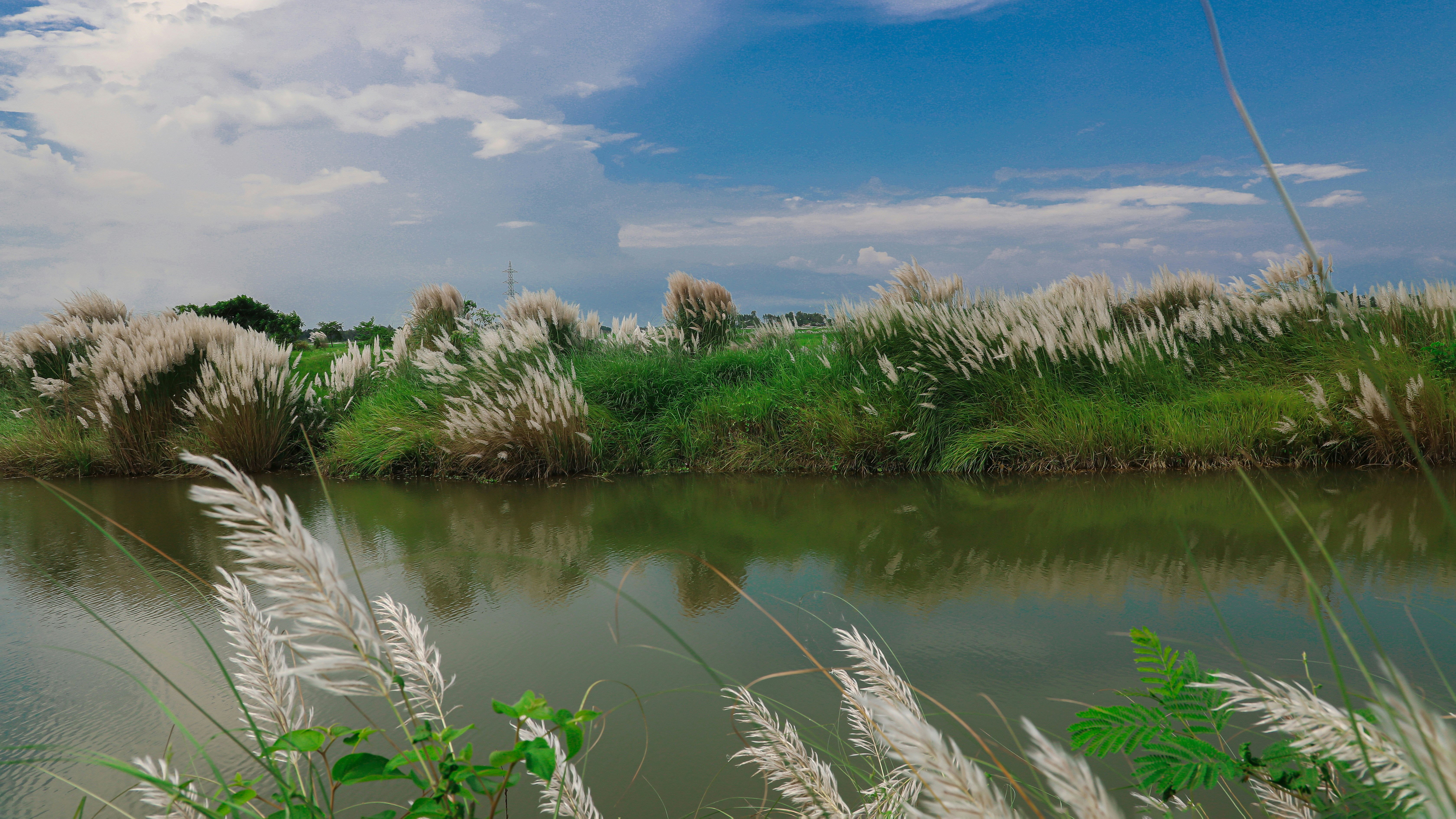 Biratnagar, Nepal - BARJU LAKE